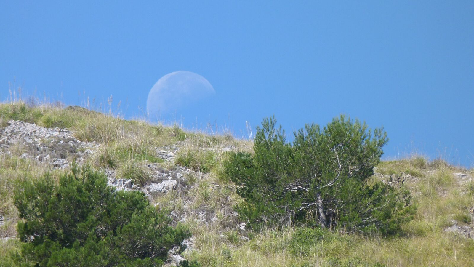 Panasonic Lumix DMC-FZ40 (Lumix DMC-FZ45) sample photo. Moon, sky, half moon photography