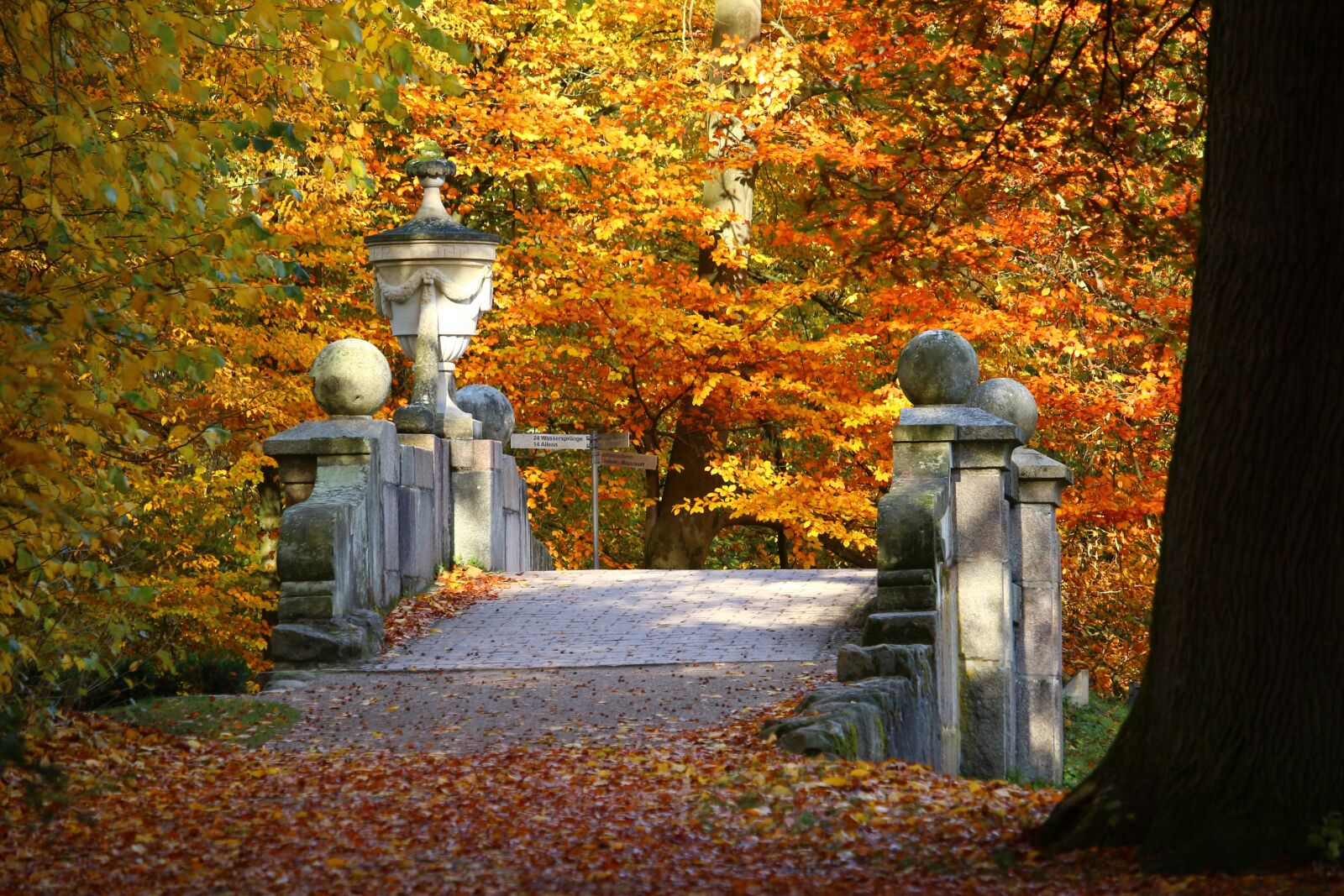 Canon EOS 100D (EOS Rebel SL1 / EOS Kiss X7) sample photo. Bridge, autumn, fall foliage photography