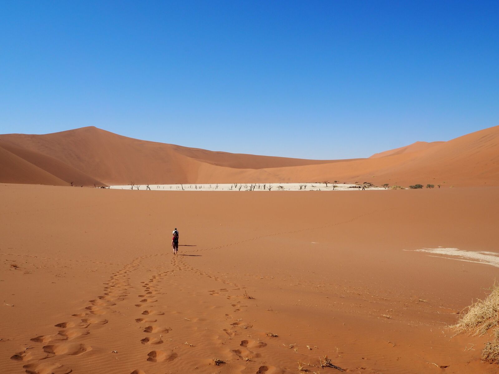 Olympus OM-D E-M10 sample photo. Namibia, soussevlei, desert photography