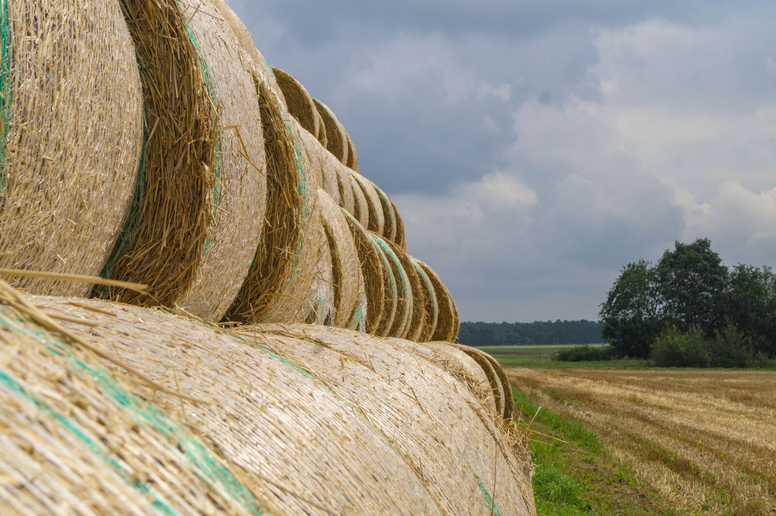 Sony SLT-A37 sample photo. Harvest, straw, agriculture photography