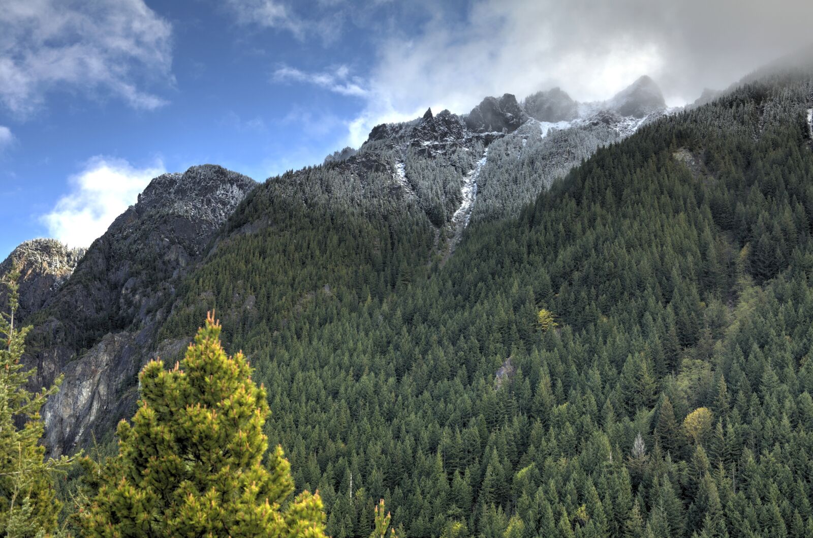Canon EOS 5D sample photo. Clouds, forest, landscape photography