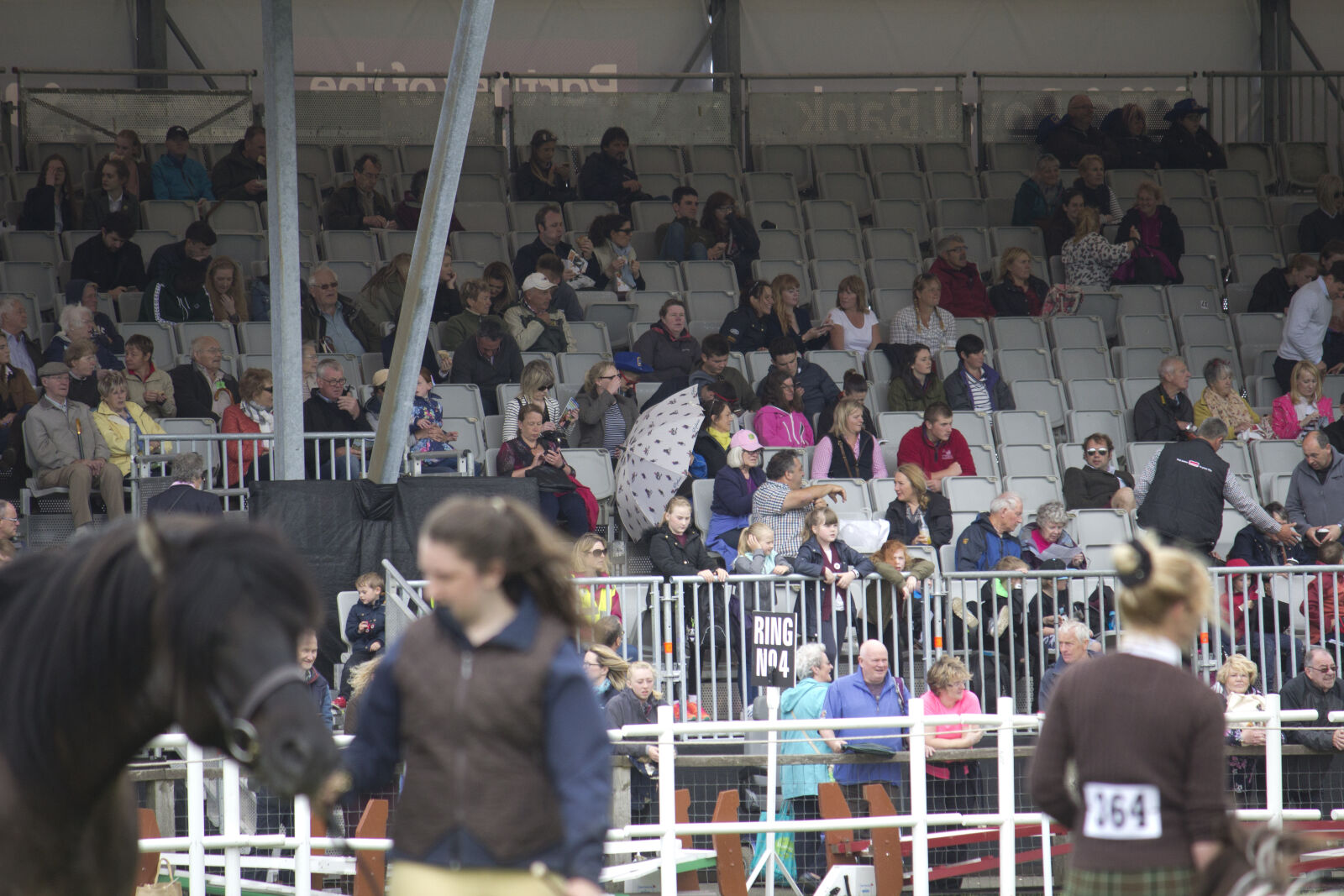 Canon EOS 600D (Rebel EOS T3i / EOS Kiss X5) + Canon EF-S 55-250mm F4-5.6 IS sample photo. 2017, animal, bull, crowds photography