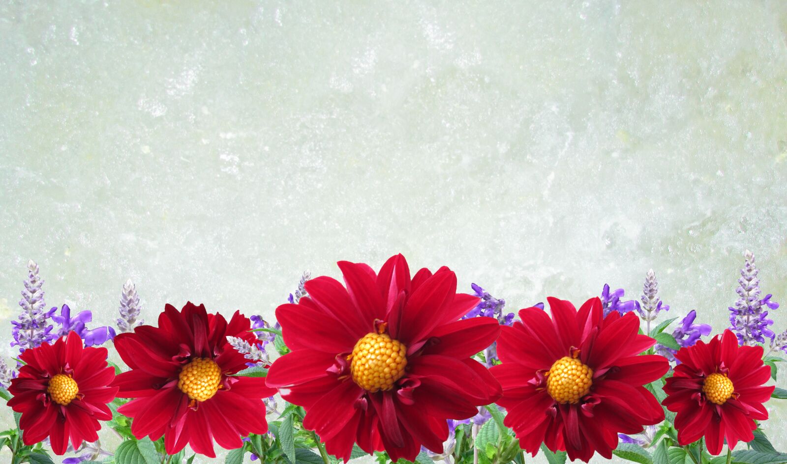Canon PowerShot SX170 IS sample photo. Greeting card, flower, dahlias photography