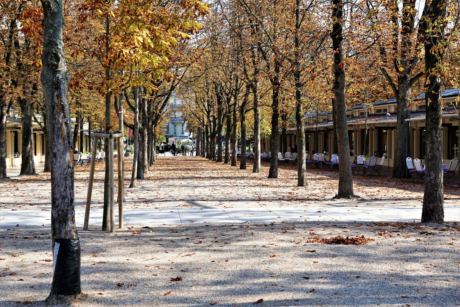 Sony ILCA-77M2 + Sony DT 16-50mm F2.8 SSM sample photo. Baden baden, pump room photography