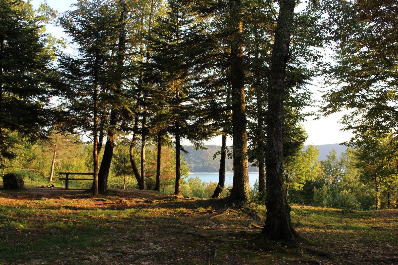 Canon EOS 1200D (EOS Rebel T5 / EOS Kiss X70 / EOS Hi) sample photo. Forest, abendstimmung, sun photography