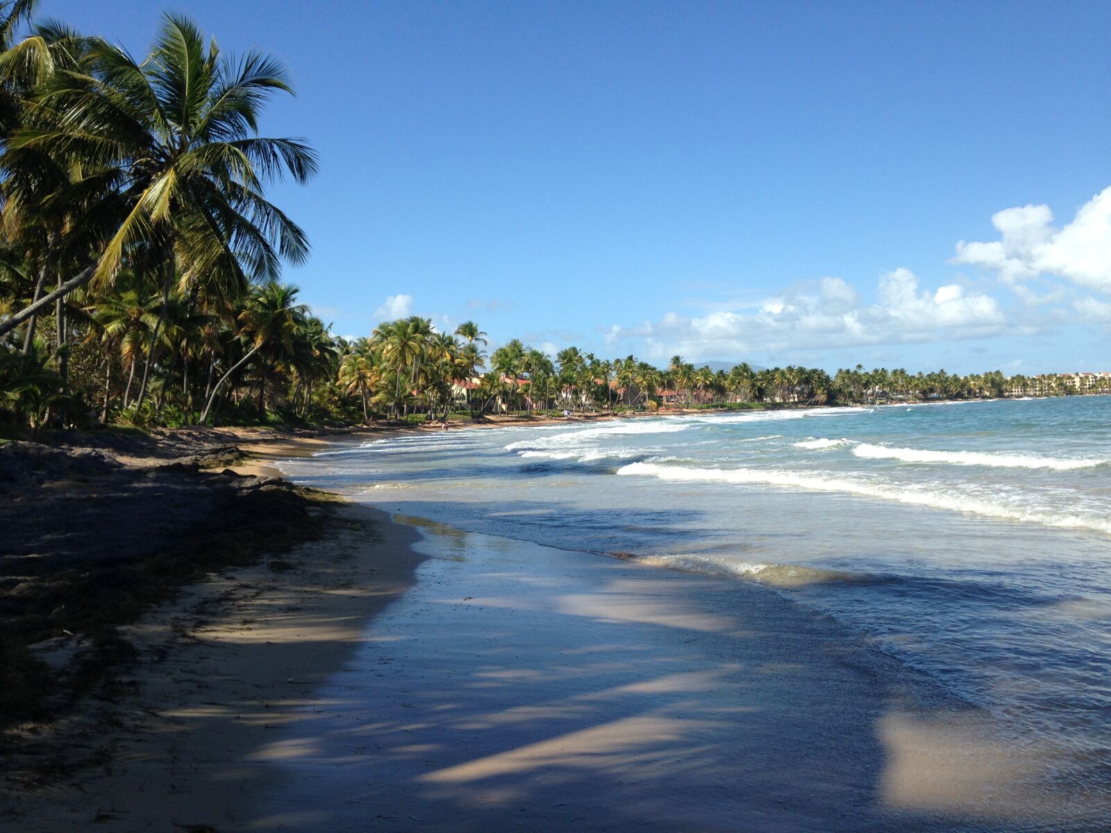 Apple iPhone 5 sample photo. Beach, palm trees, island photography
