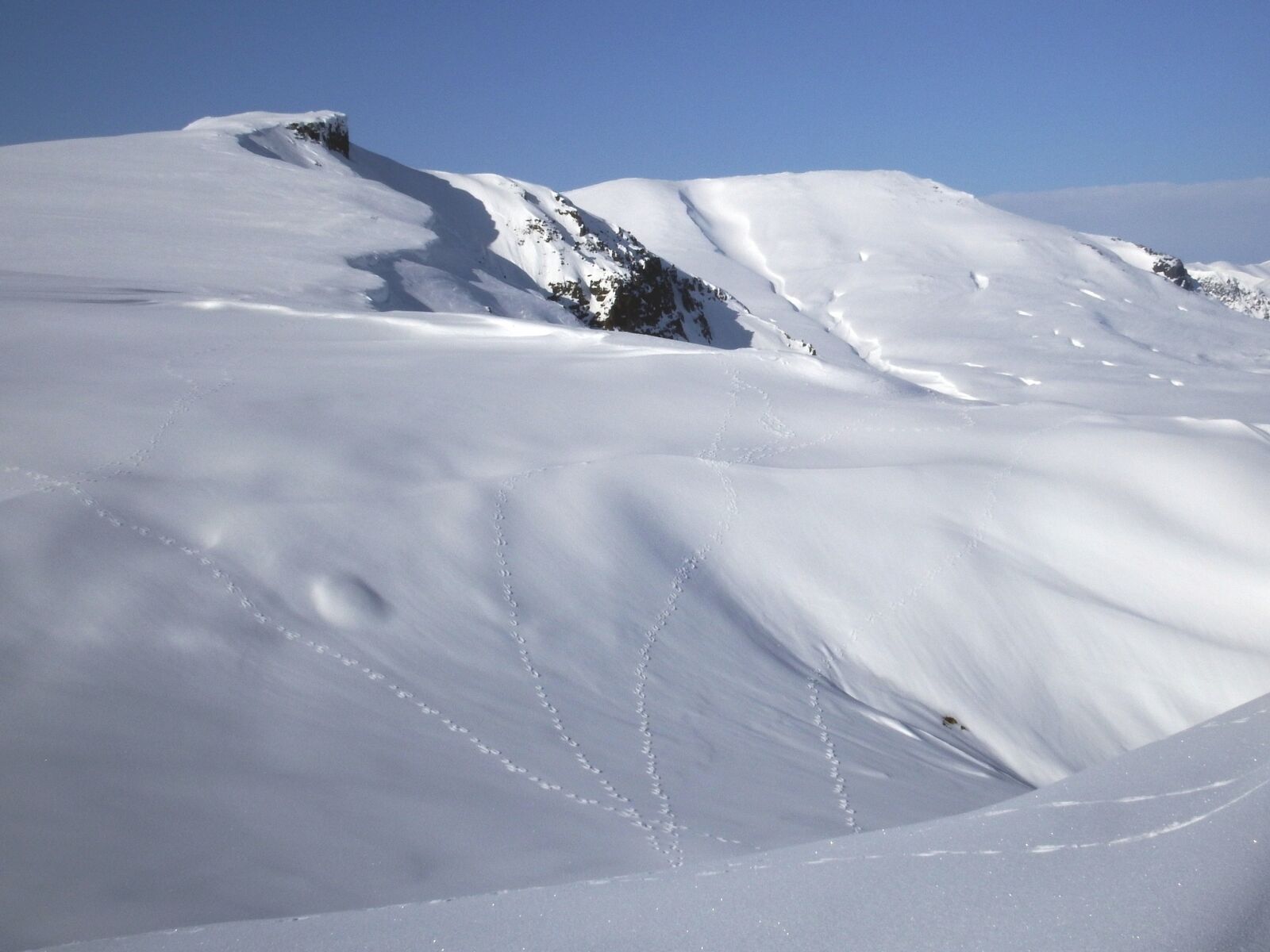 Fujifilm FinePix S1 sample photo. Mountains, plateau, tracks photography
