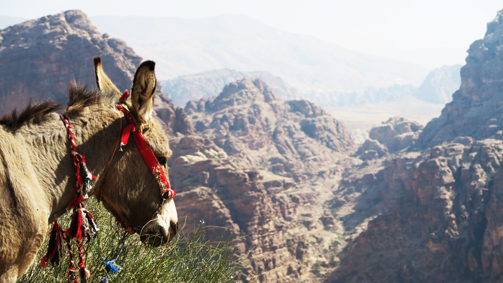 Canon PowerShot G7 X sample photo. Jordan, landscape, mountain photography