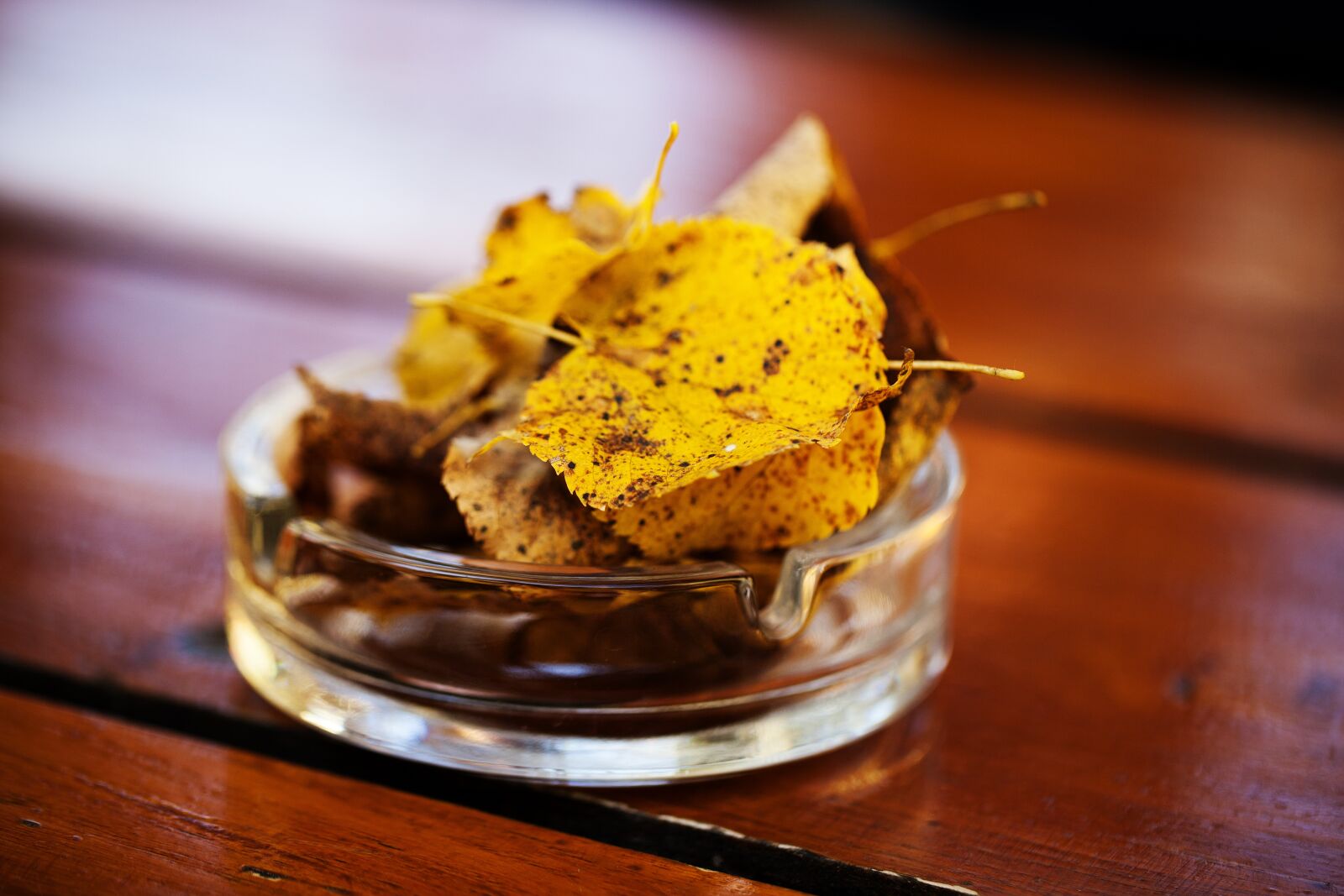 Canon EOS 5D Mark II sample photo. Glass ashtray, glass, wooden photography