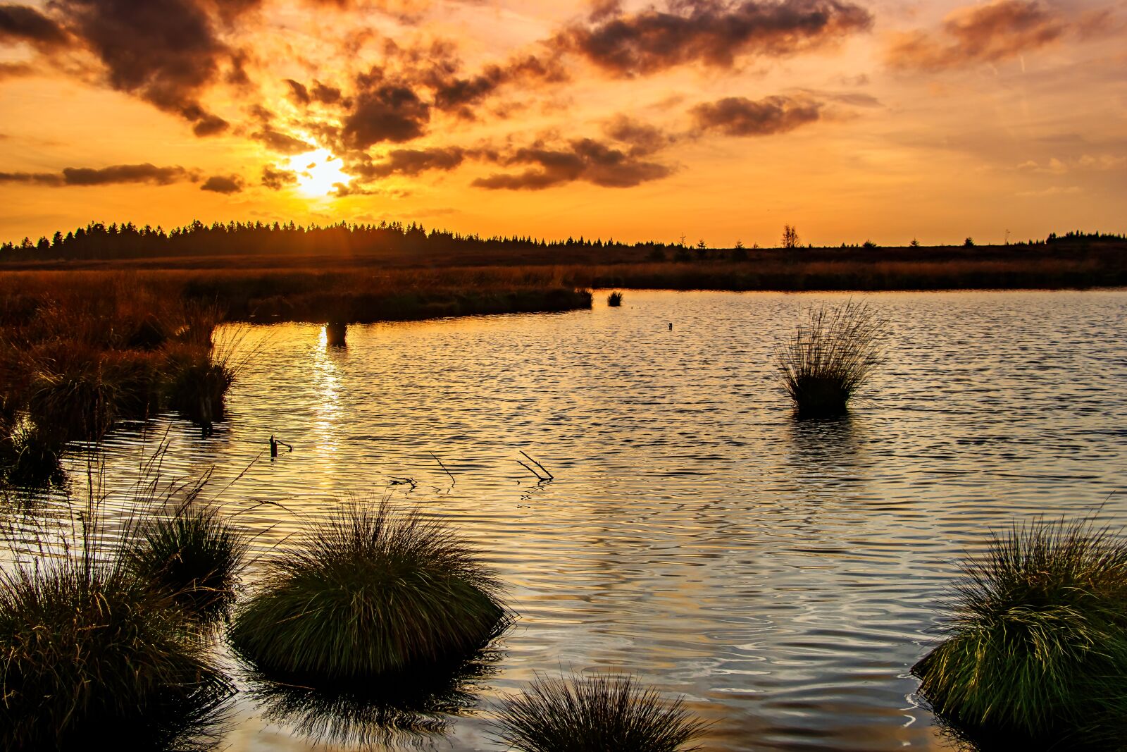 Canon EOS 80D sample photo. Sunset, moor, venn photography