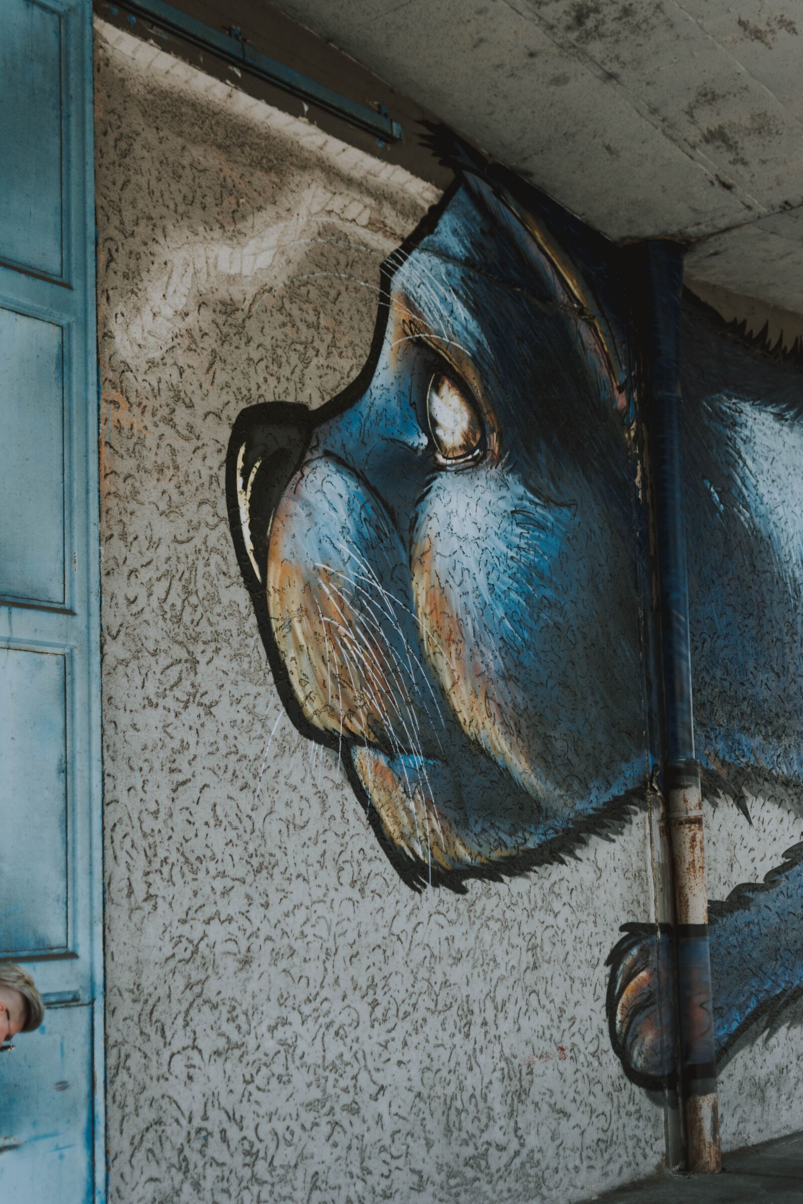 Nikon D5200 sample photo. Graffiti, art, cat photography