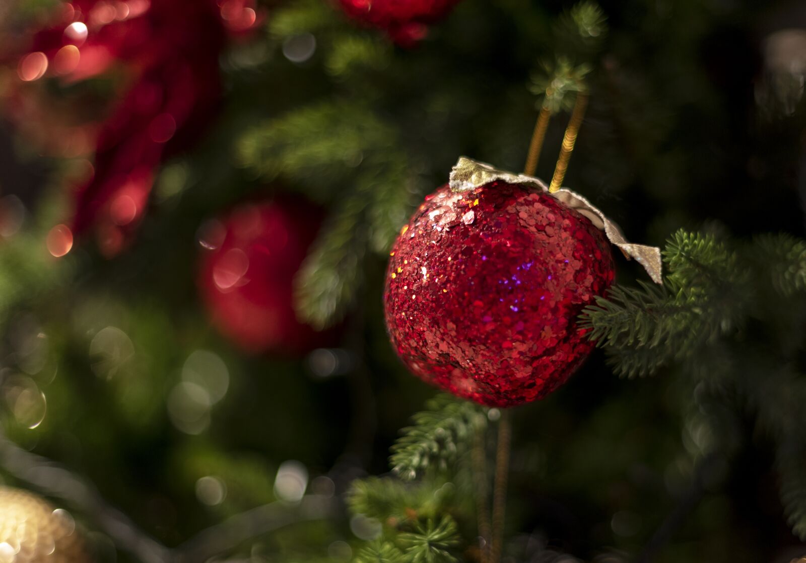 Nikon D750 sample photo. Christmas, lights, holiday photography