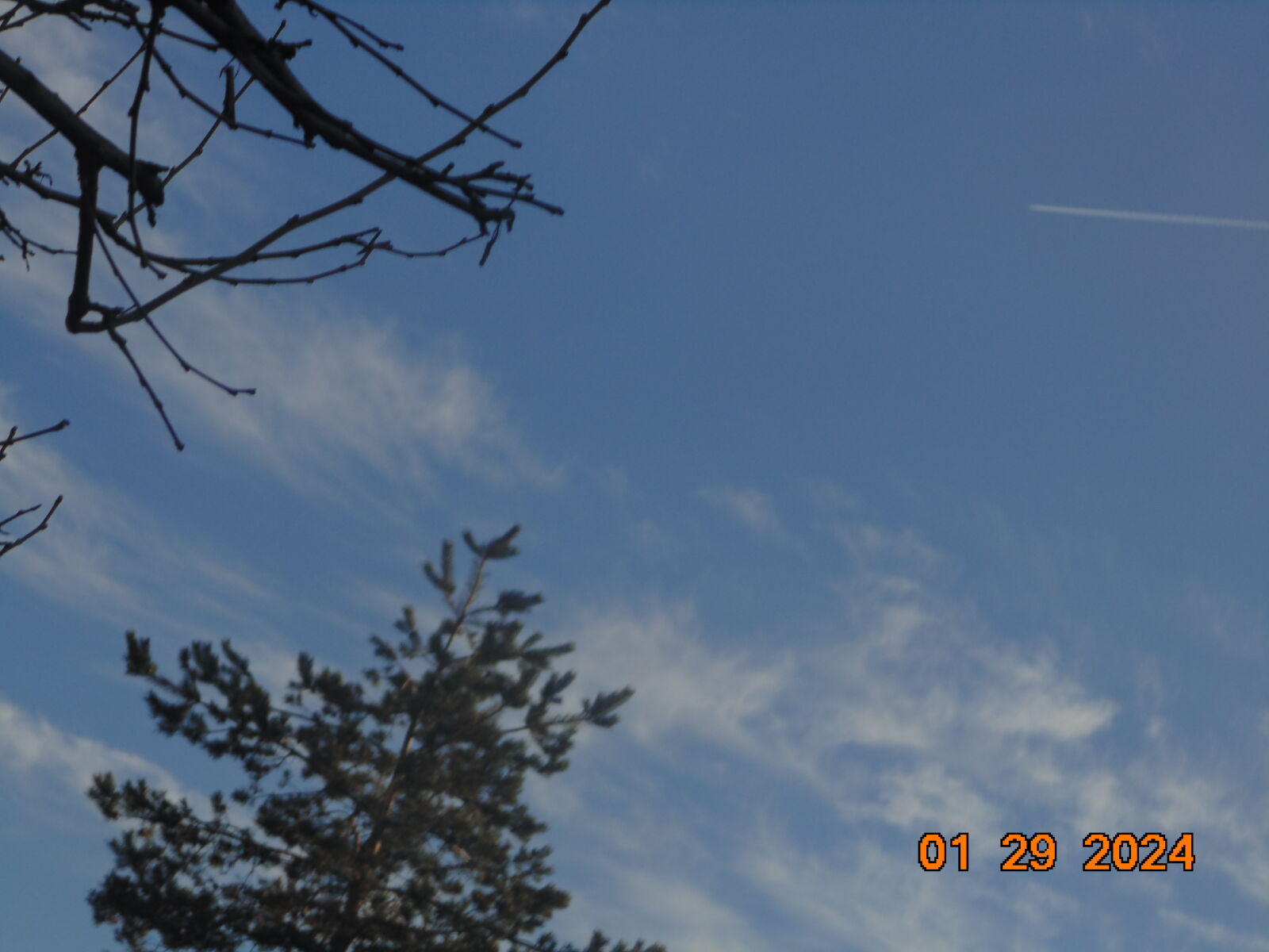Sony DSC-H100 sample photo