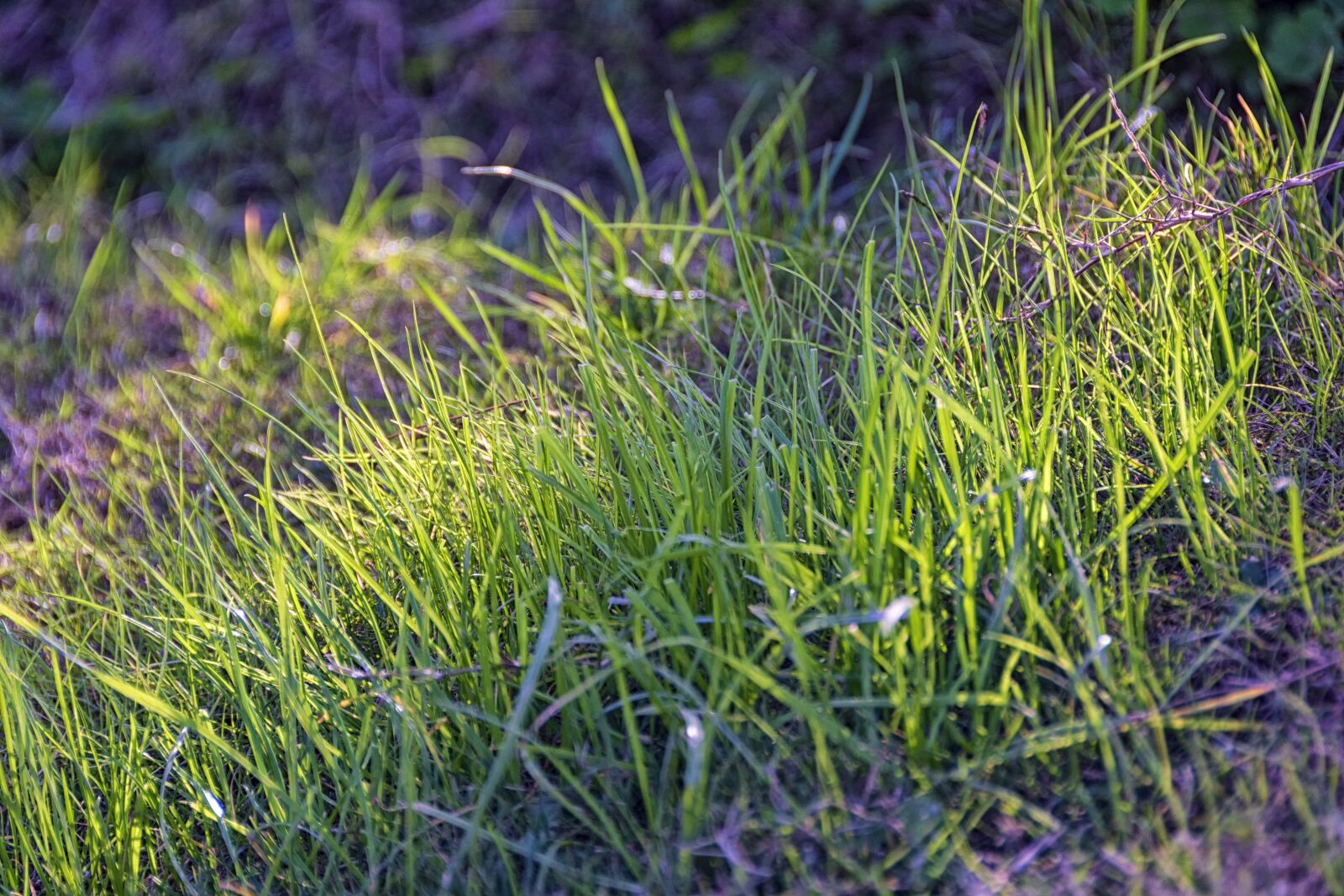 Nikon D7200 sample photo. Building, environment, natural photography