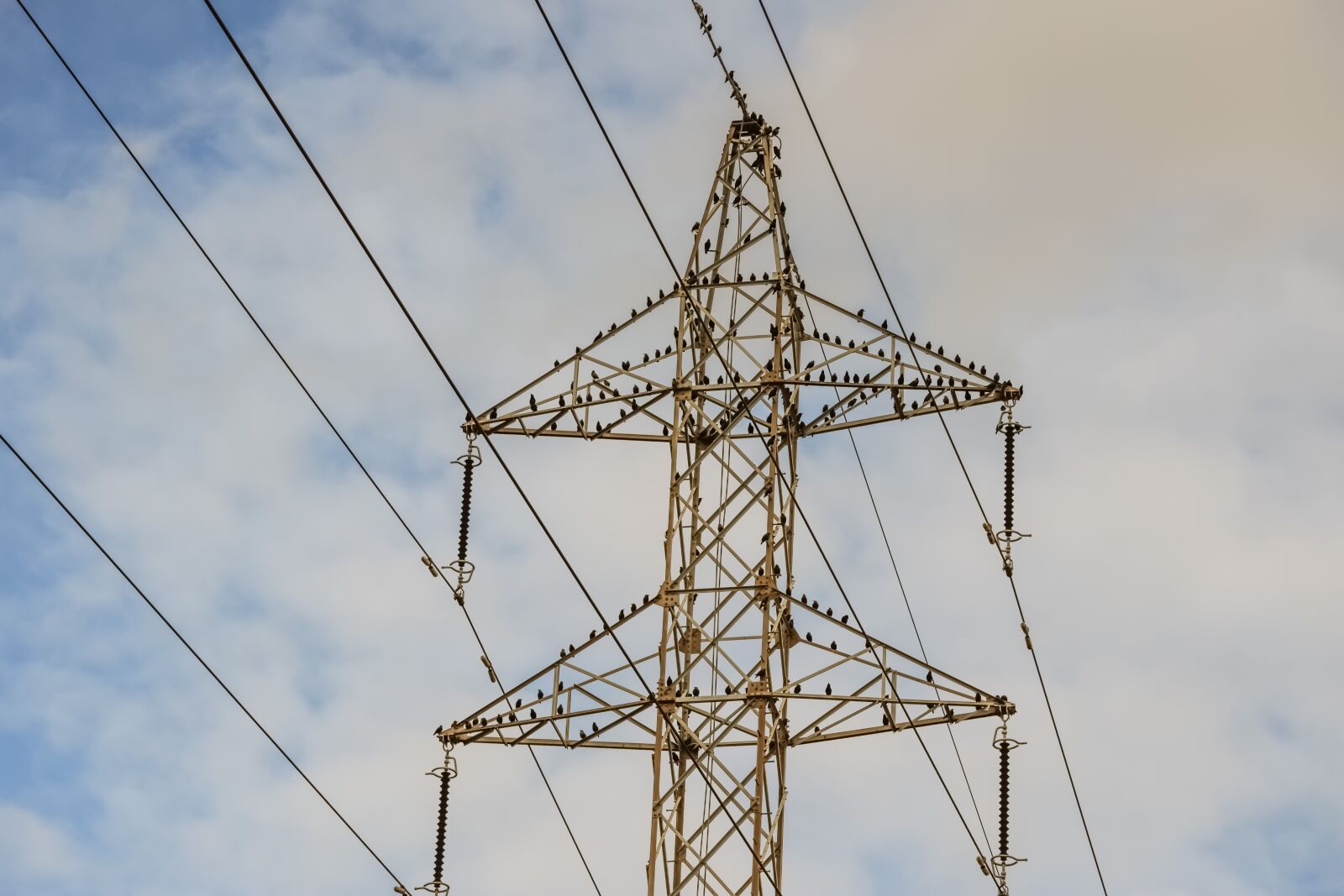 Nikon D3300 sample photo. Electricity, industry, power photography