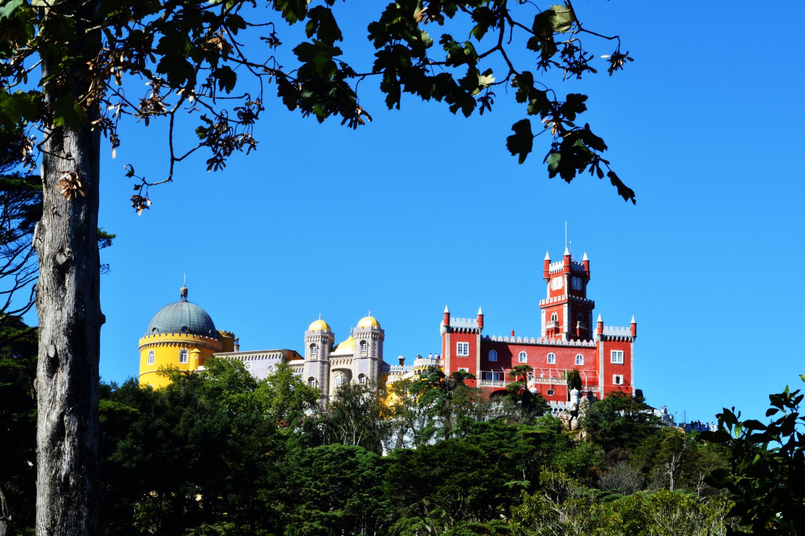 Nikon D5200 sample photo. Portugal, palace pen, sintra photography
