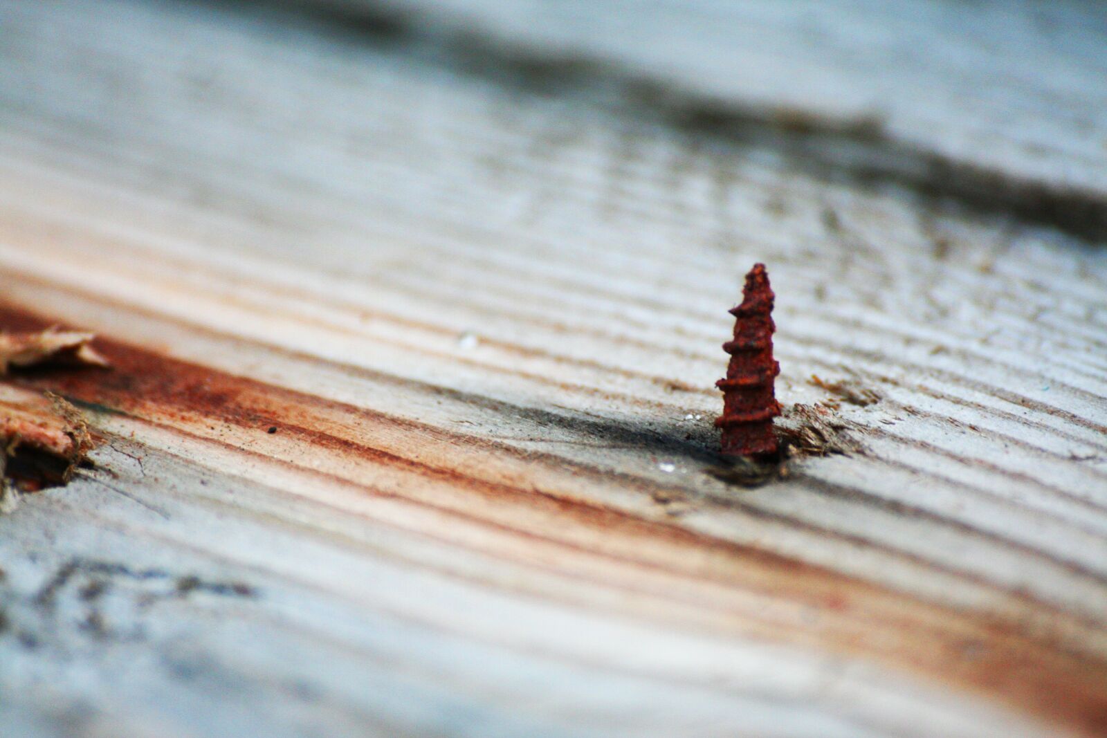 Canon EOS 350D (EOS Digital Rebel XT / EOS Kiss Digital N) sample photo. Wood, nail, rust photography