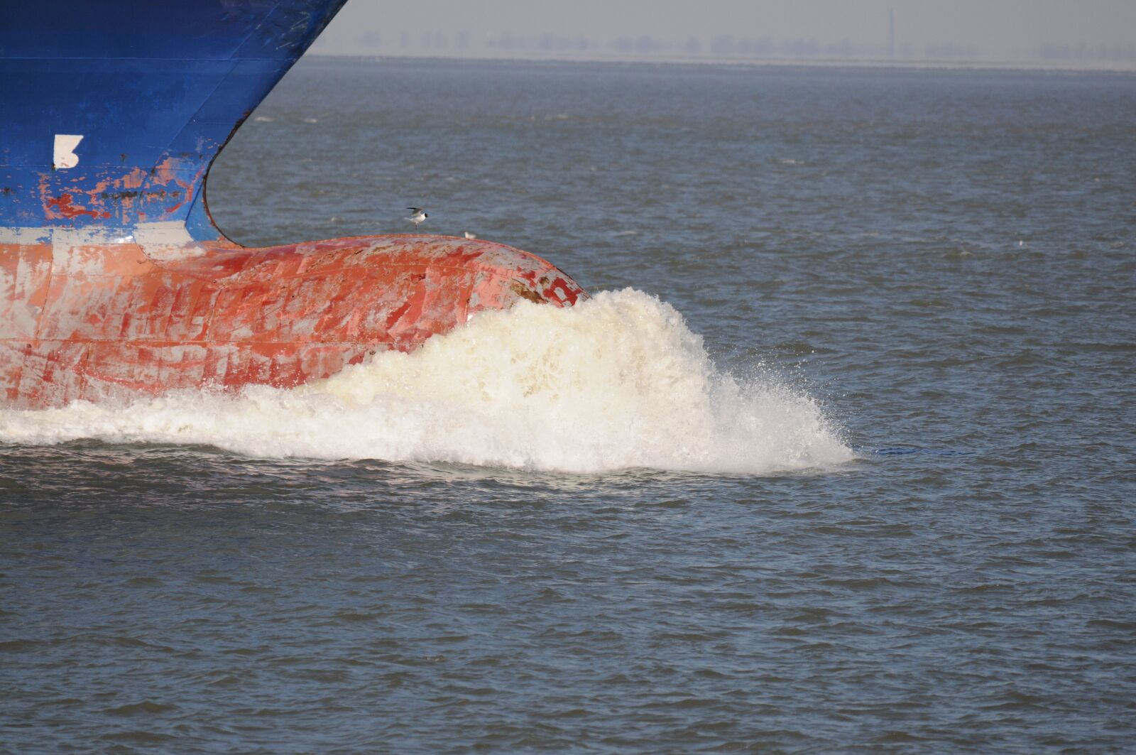 Nikon D300 sample photo. Waters, sea, ocean photography