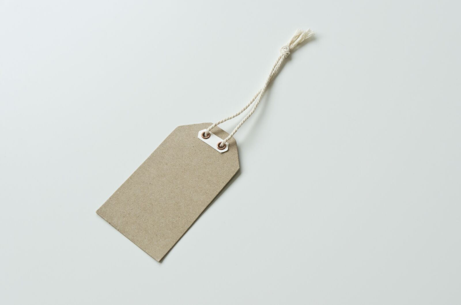 Nikon D5100 sample photo. Label, kraft, blank photography
