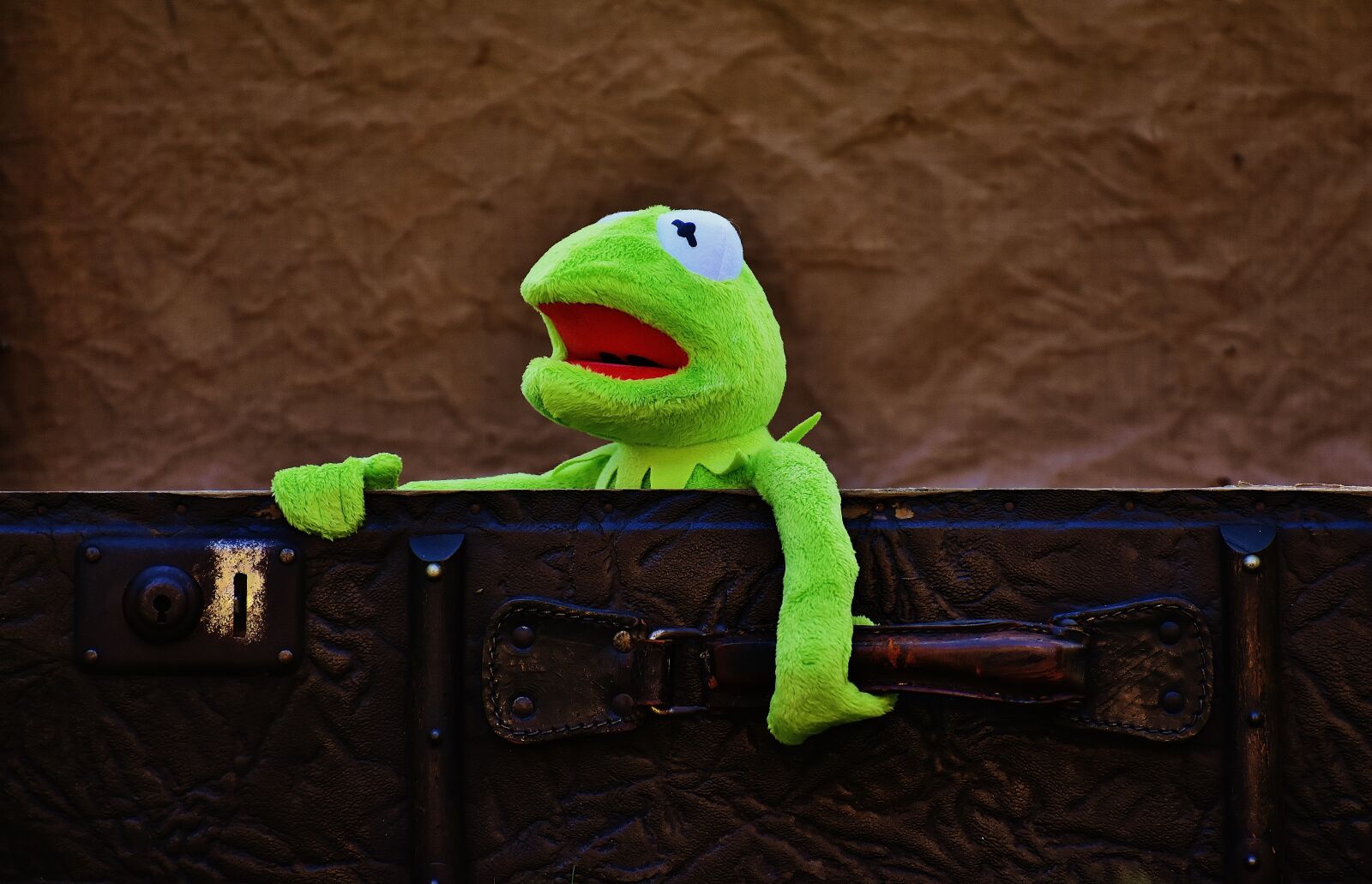 Nikon D7200 sample photo. Kermit, farewell, cute photography