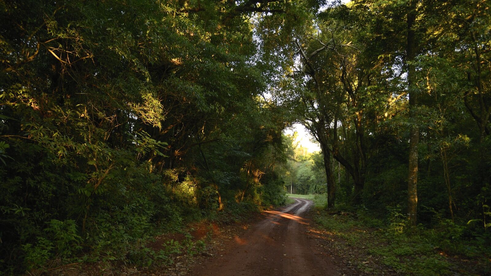 Nikon D5100 sample photo