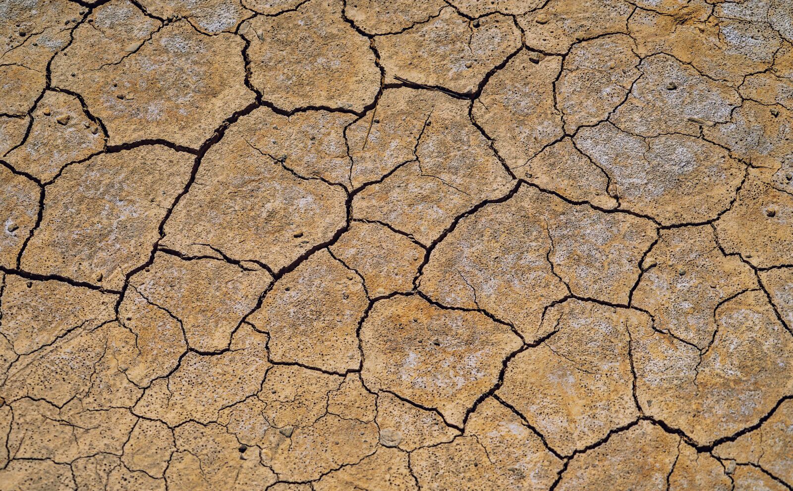 Sony a7 II + Sony FE 24-240mm F3.5-6.3 OSS sample photo. Ground, dry, structure photography