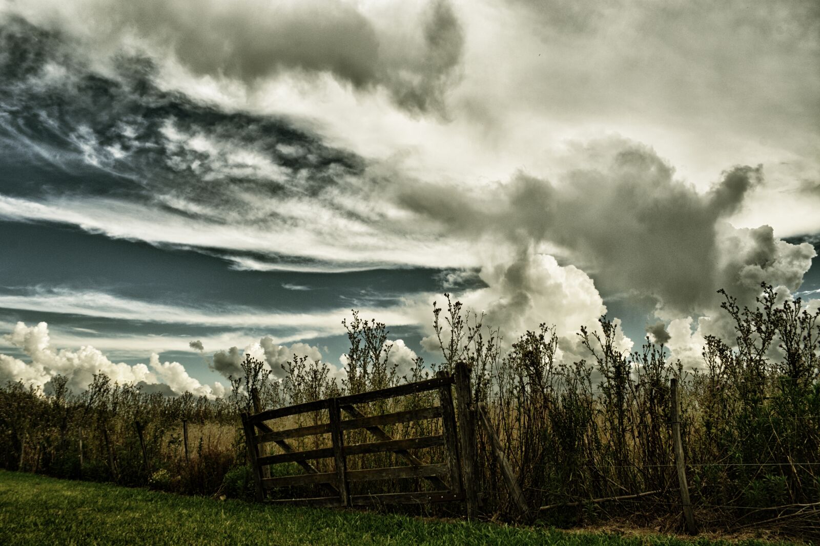 Nikon D5200 sample photo. Gate, sky, storm photography