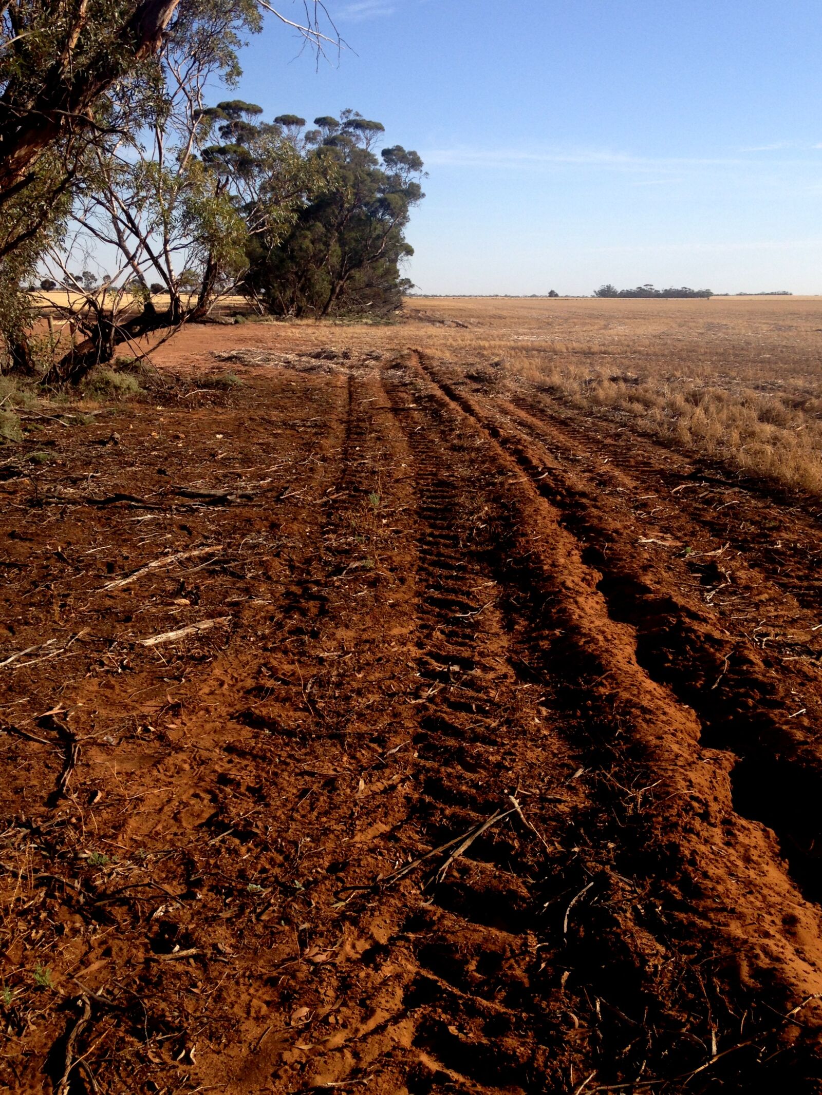 iPhone 5c back camera 4.12mm f/2.4 sample photo. Blue, sky, crop, farm photography