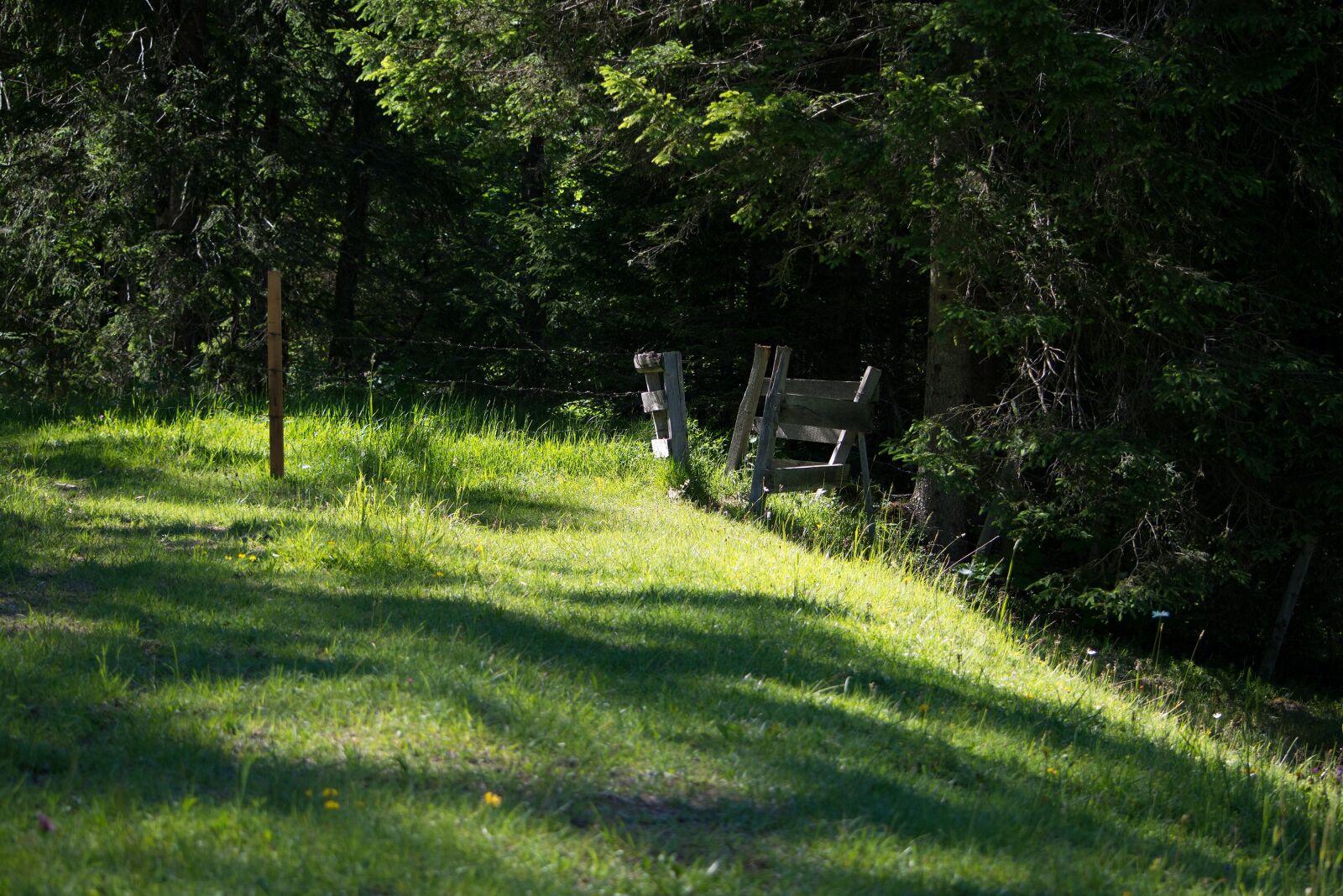 Nikon D7100 sample photo. Landscape, nature, away photography
