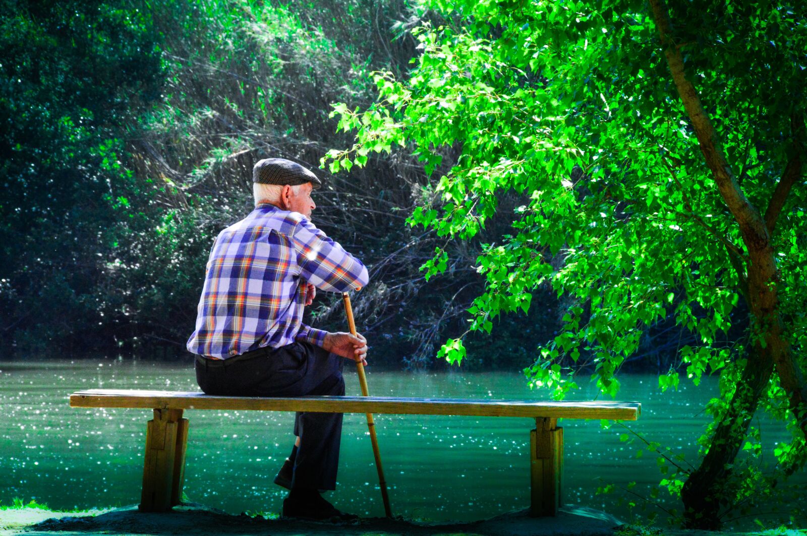Nikon D3200 sample photo. Elder, meditating his life photography