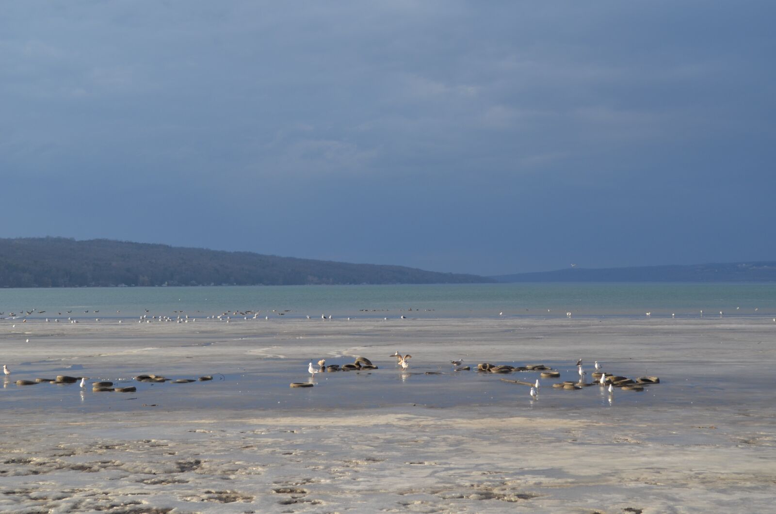 Nikon D5100 sample photo. Ithaca, usa, cornell photography