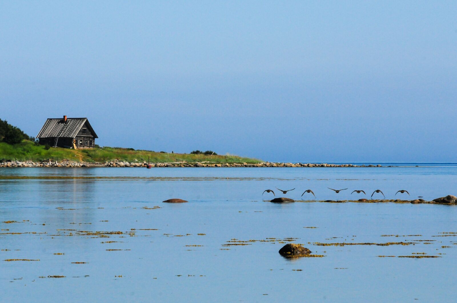 Nikon D300S sample photo. Island, solovki, anzere photography