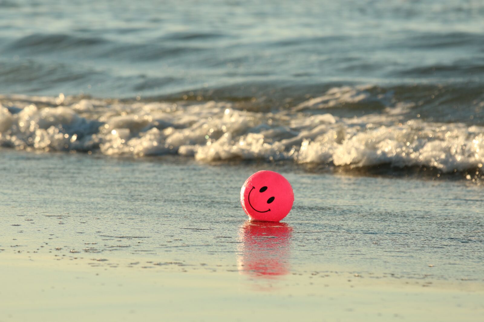 Canon EOS 70D + Canon EF 70-200mm F4L IS USM sample photo. Ball, beach, happy photography