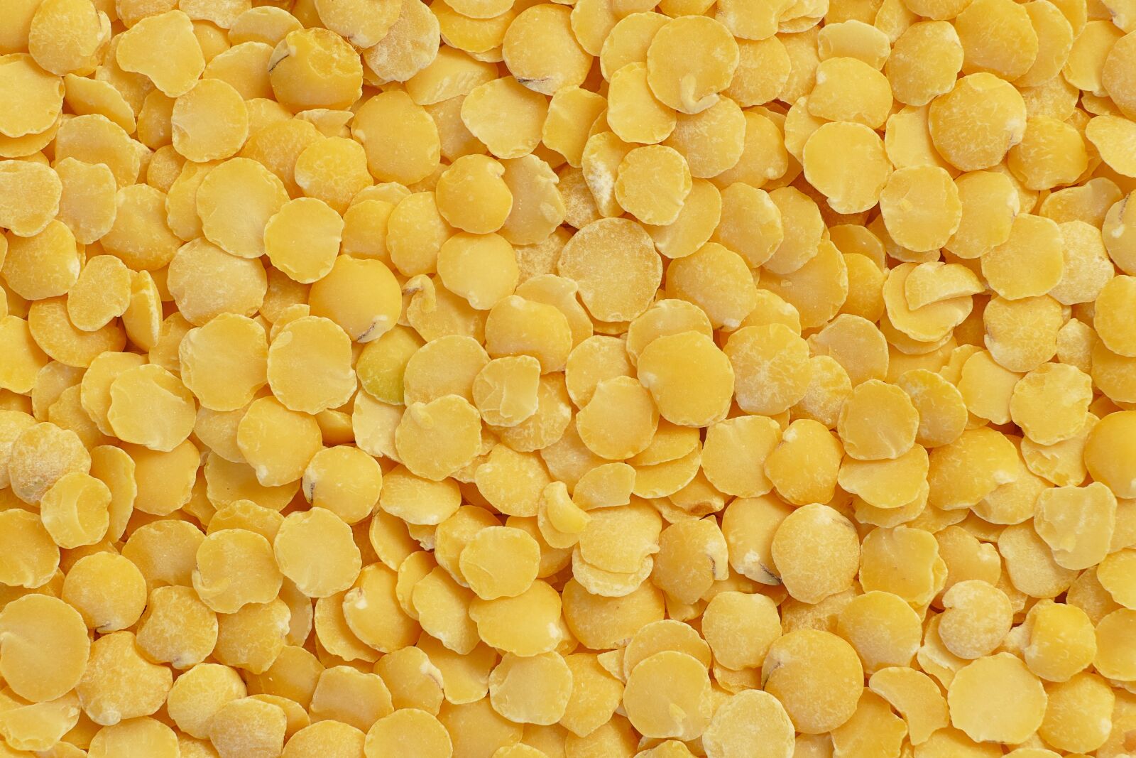 Panasonic Lumix DMC-FZ1000 sample photo. Yellow lenses, dried, food photography