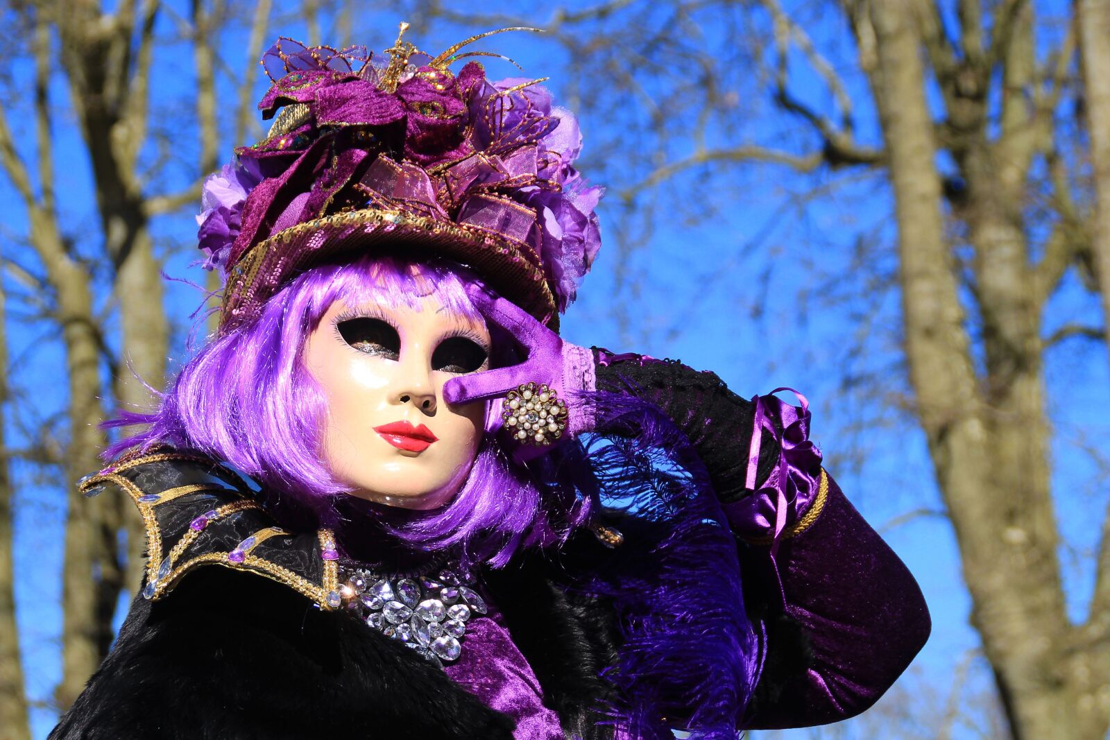 Canon EOS 700D (EOS Rebel T5i / EOS Kiss X7i) sample photo. Carnival, costume, disguise photography