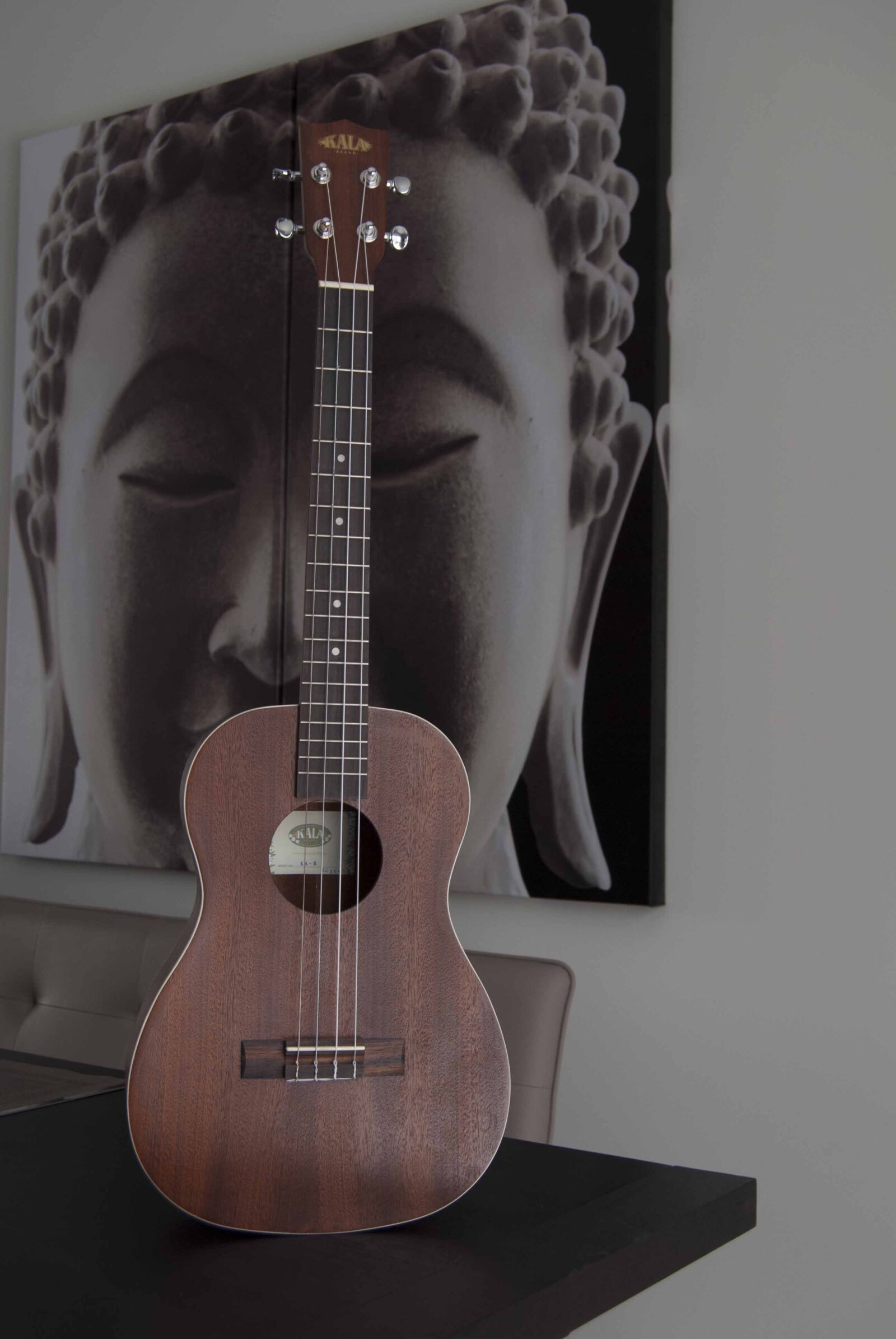 Nikon D40X sample photo. Guitar, instrument photography