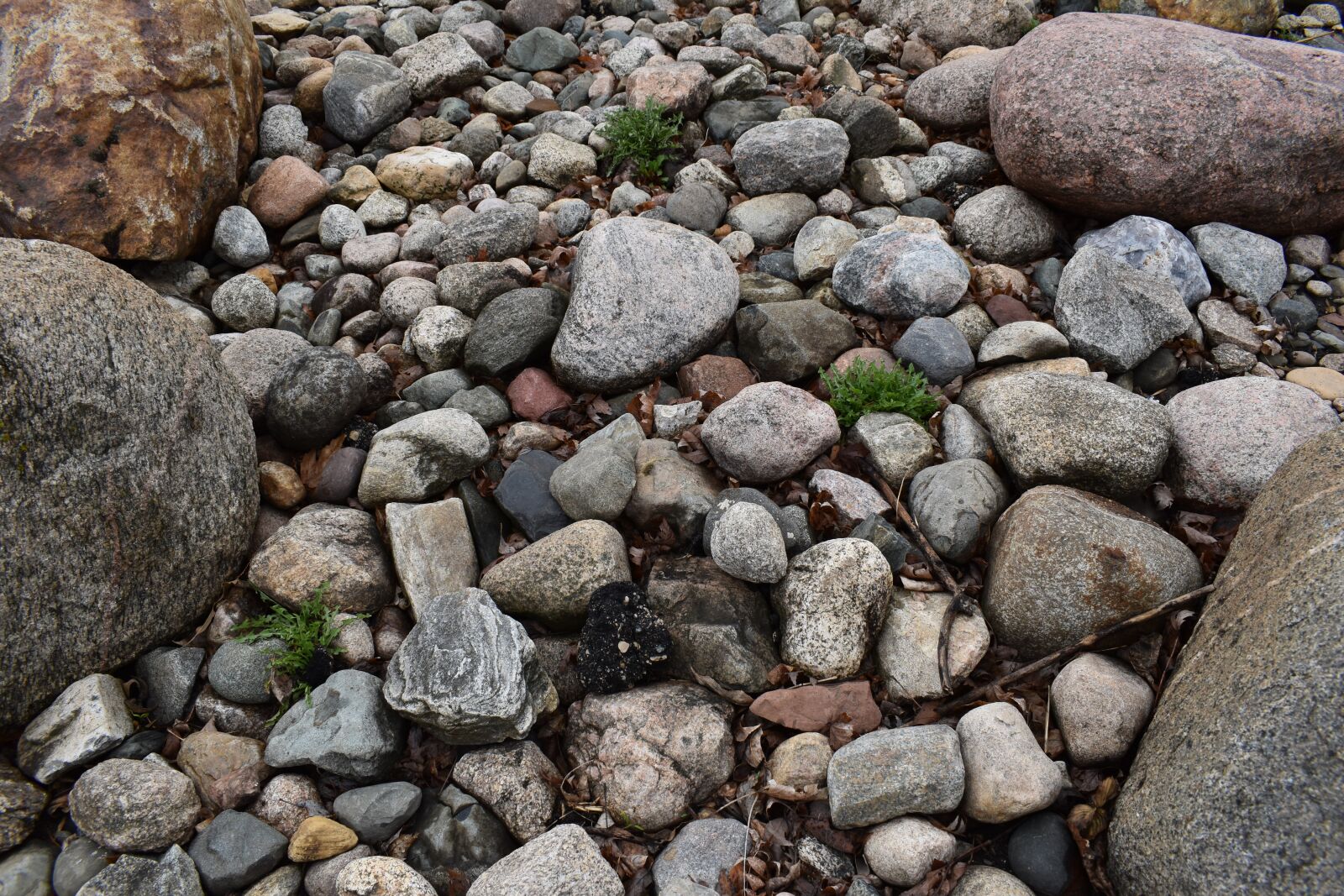 Nikon D5600 sample photo. Rocks, wet, stones photography