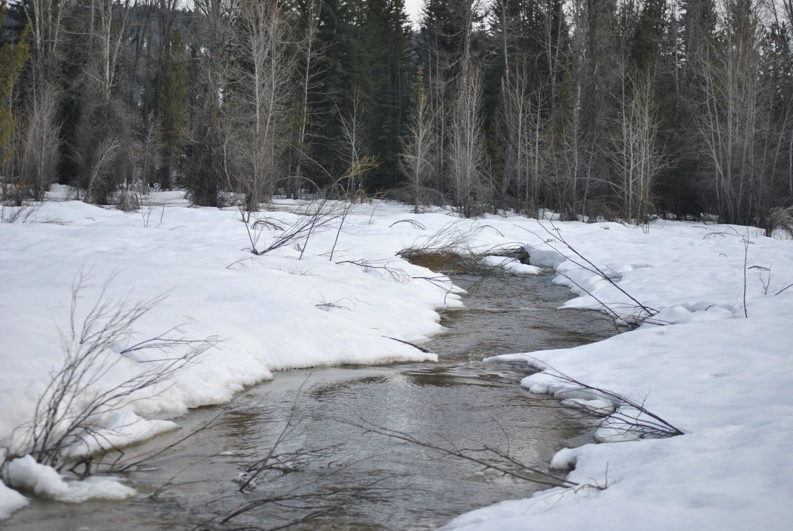 Nikon D3000 sample photo. River, snow, winter photography