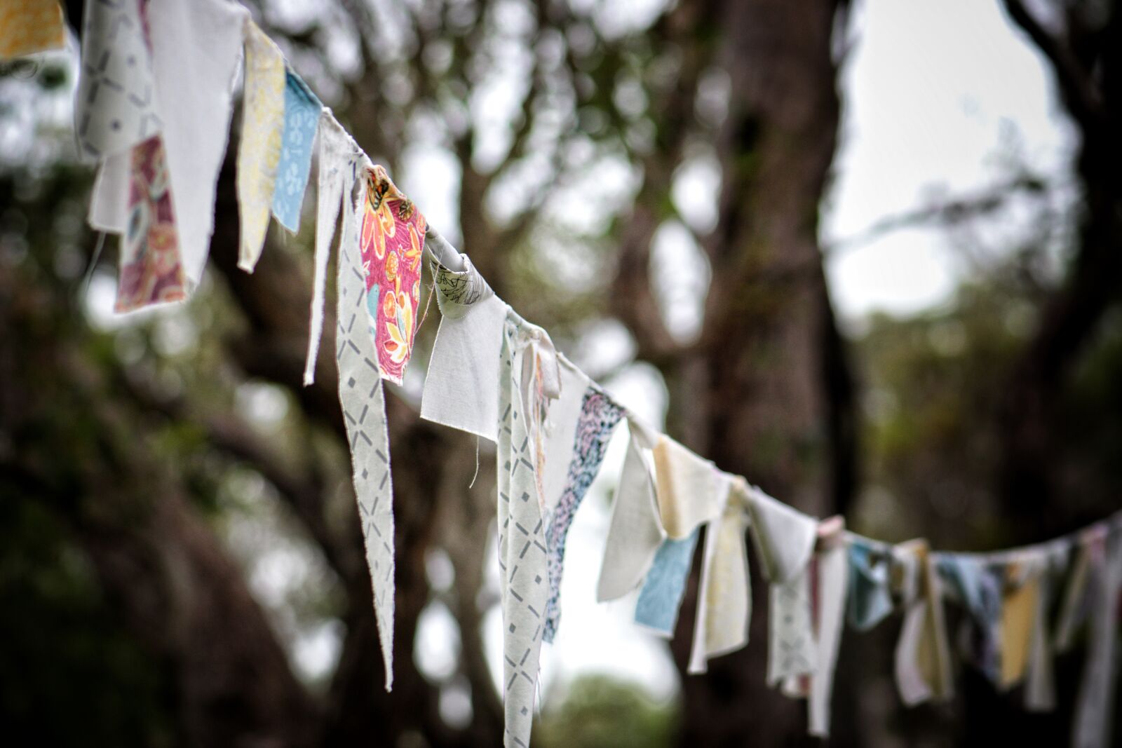 Nikon D3300 sample photo. Prayer flags, wind, tibet photography