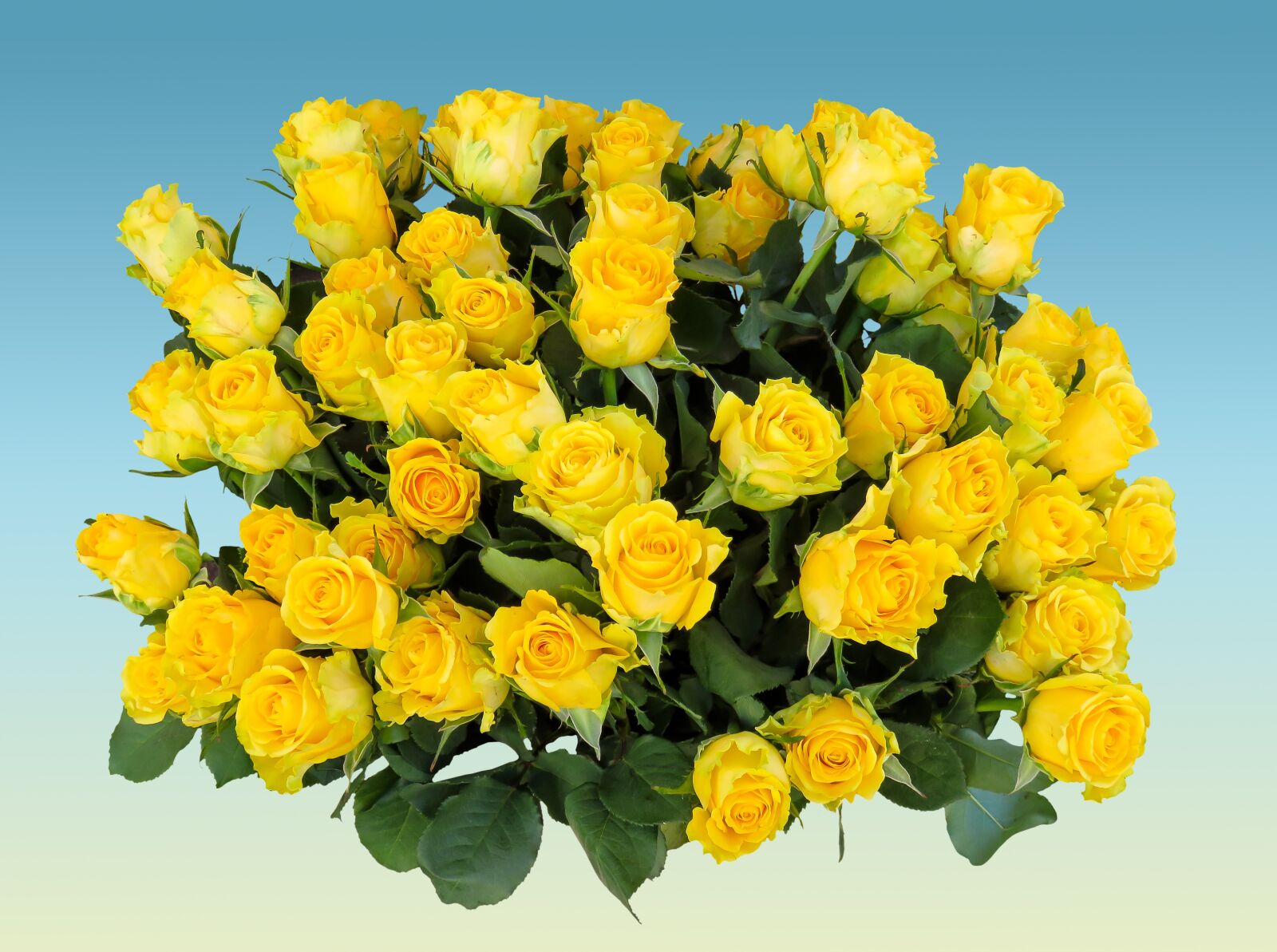 Canon PowerShot SX710 HS sample photo. Bouquet, birthday bouquet, flowers photography