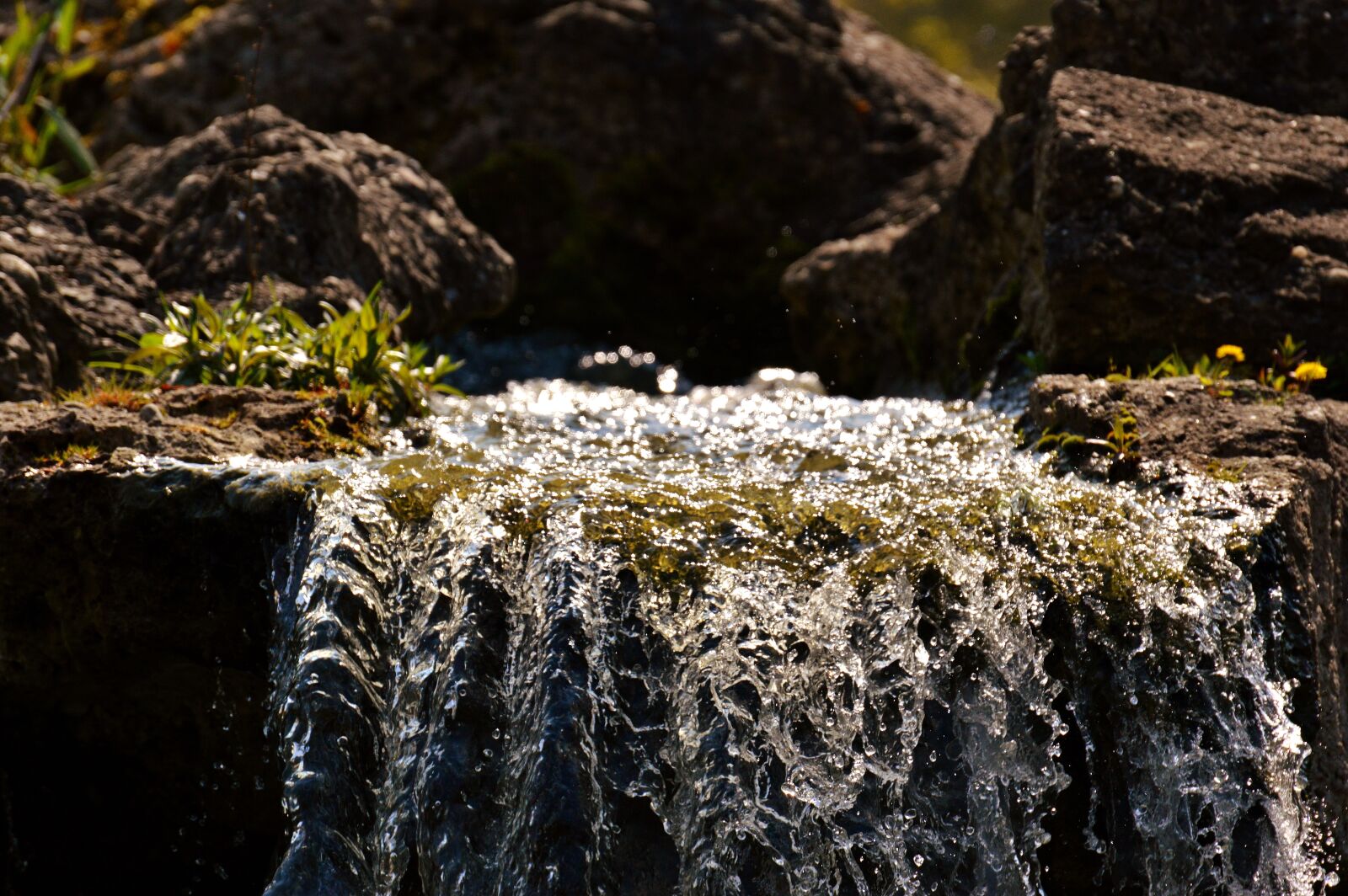 Nikon D3200 sample photo. Water, bach, nature photography