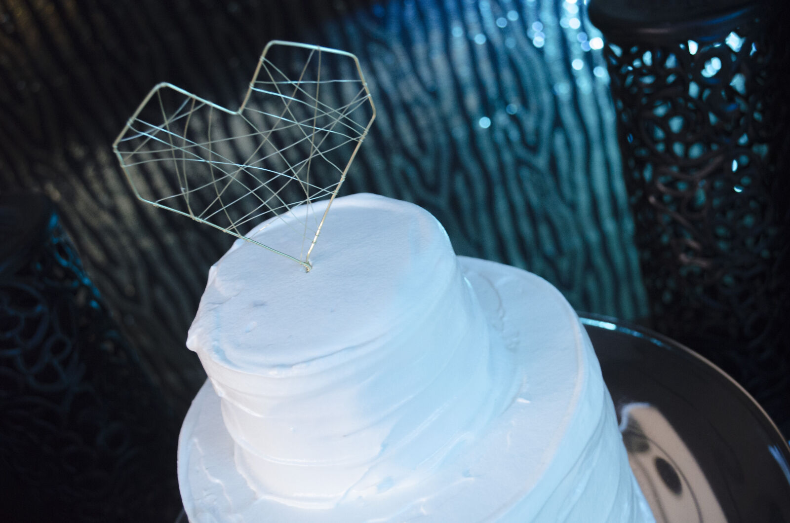 Nikon D5100 sample photo. Photo, wedding photography