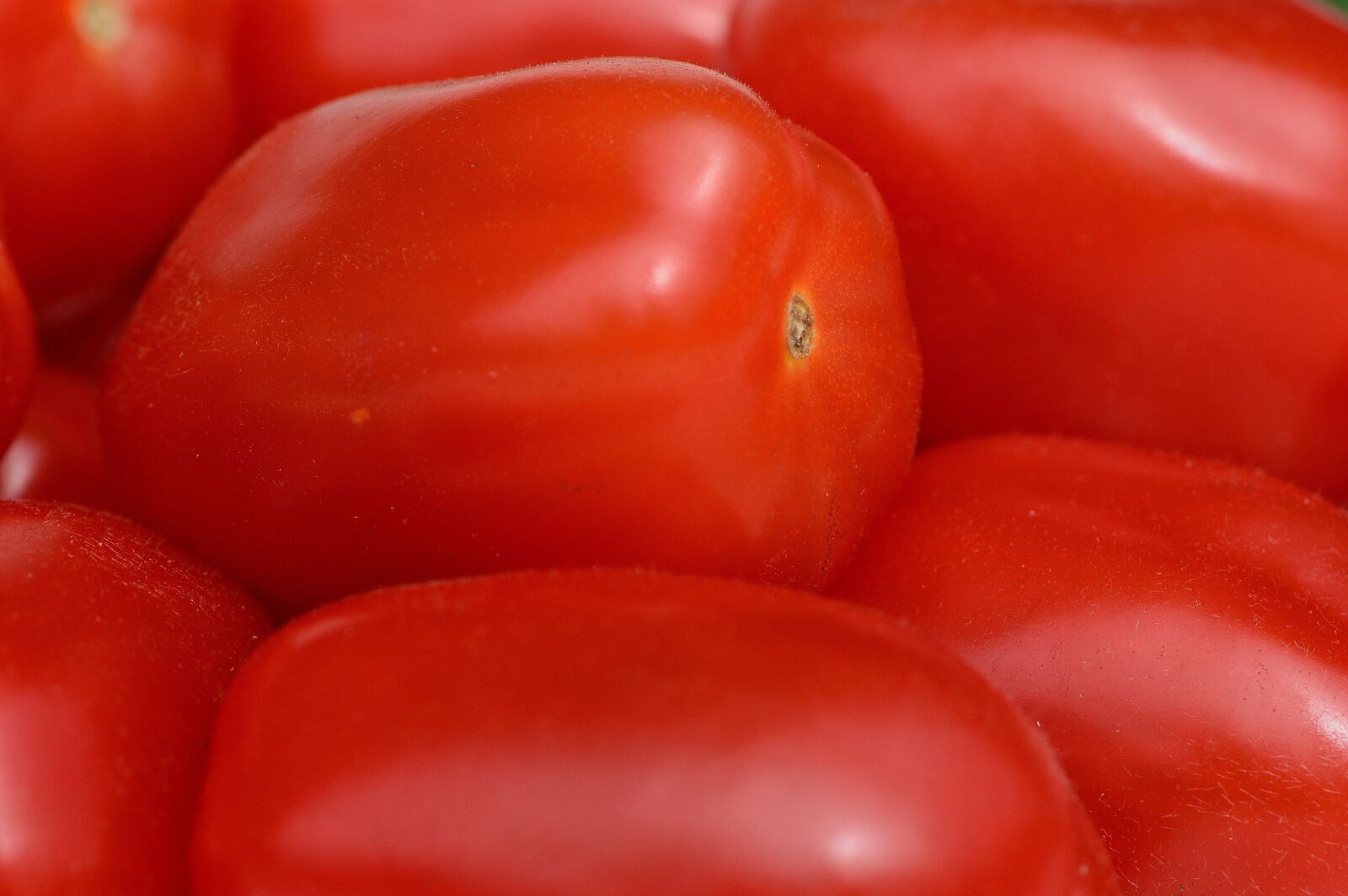 Nikon D3200 sample photo. Tomatoes, vegetables, macro photography