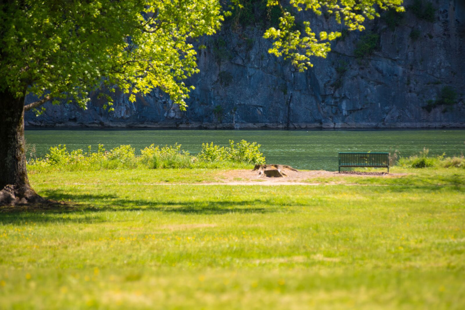 Nikon D750 sample photo. Color, country, countryside photography