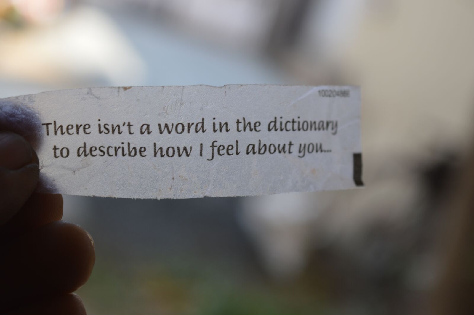 Nikon D3200 sample photo. Love quote, love, word photography