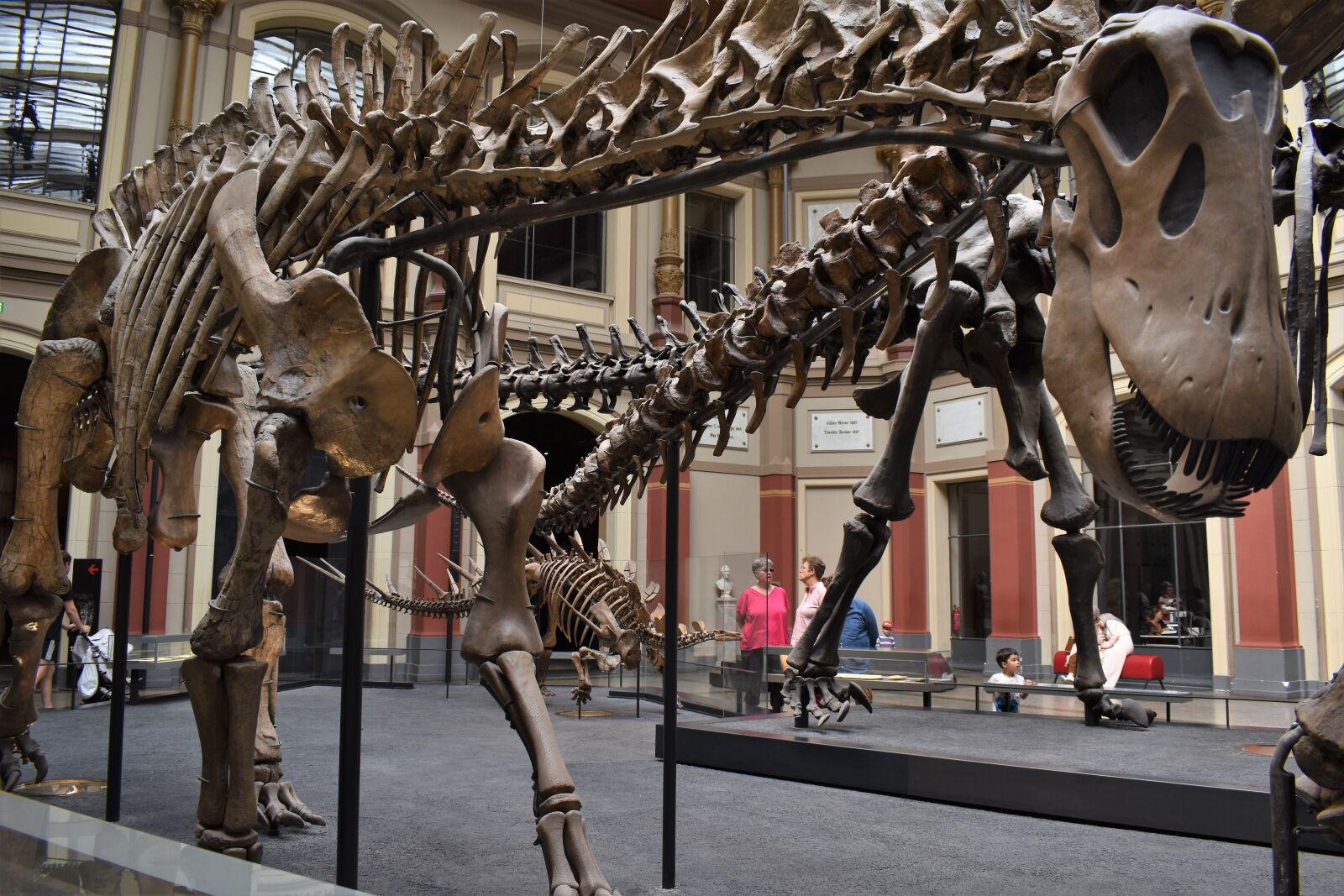 Nikon D5600 sample photo. Dinosaur, museum, fossil photography