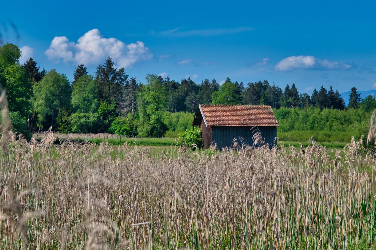 Nikon D7500 sample photo. Field barn, barn, scale photography