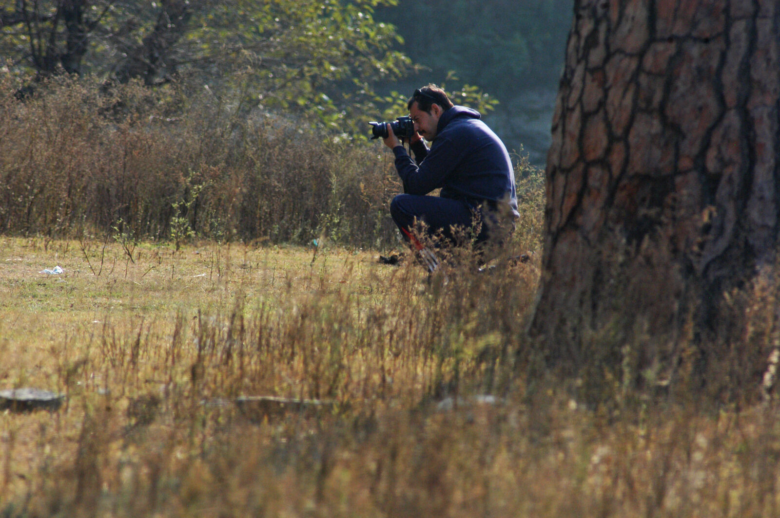 Nikon D100 sample photo