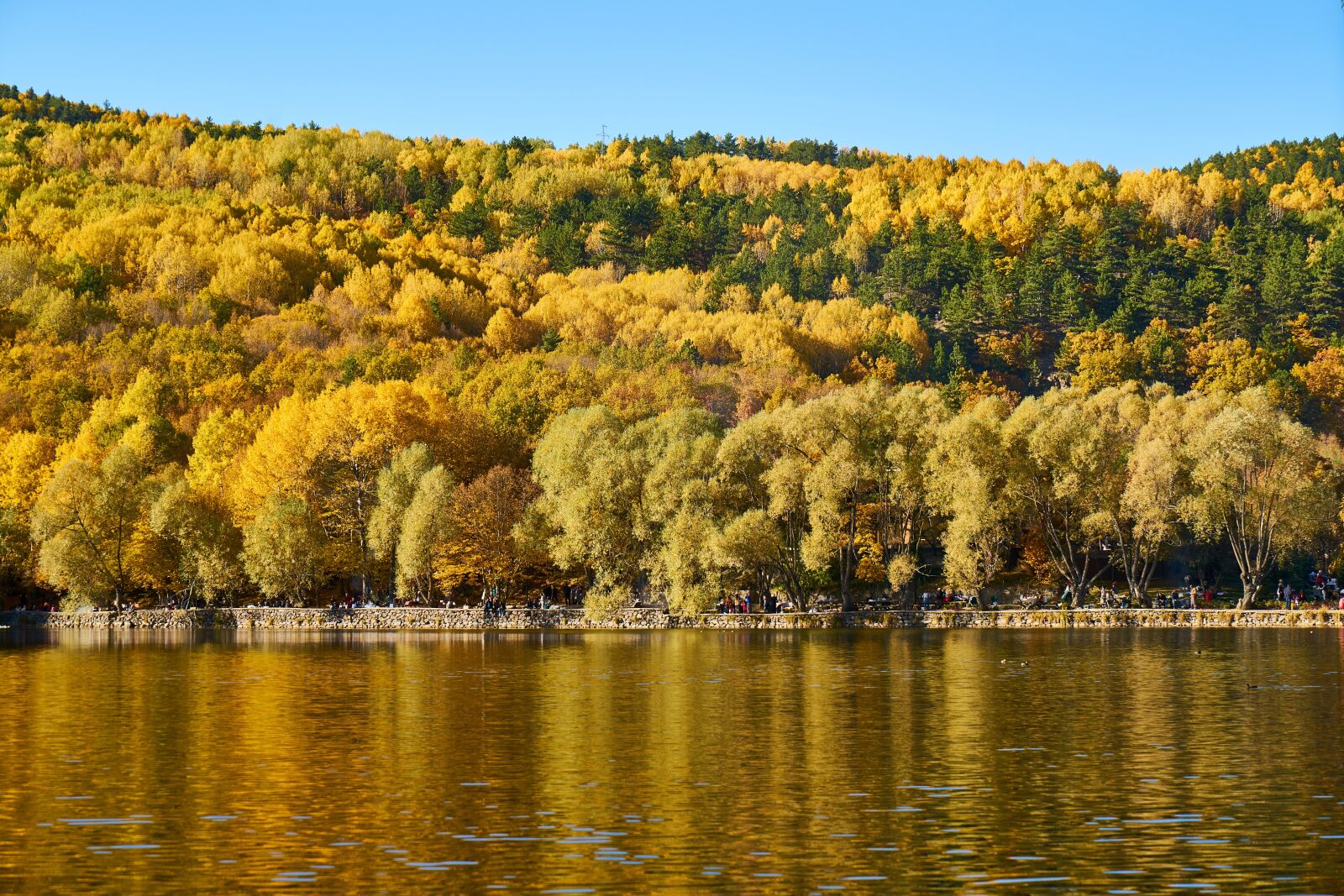 Sony a7R II sample photo. Autumn, season, landscape photography