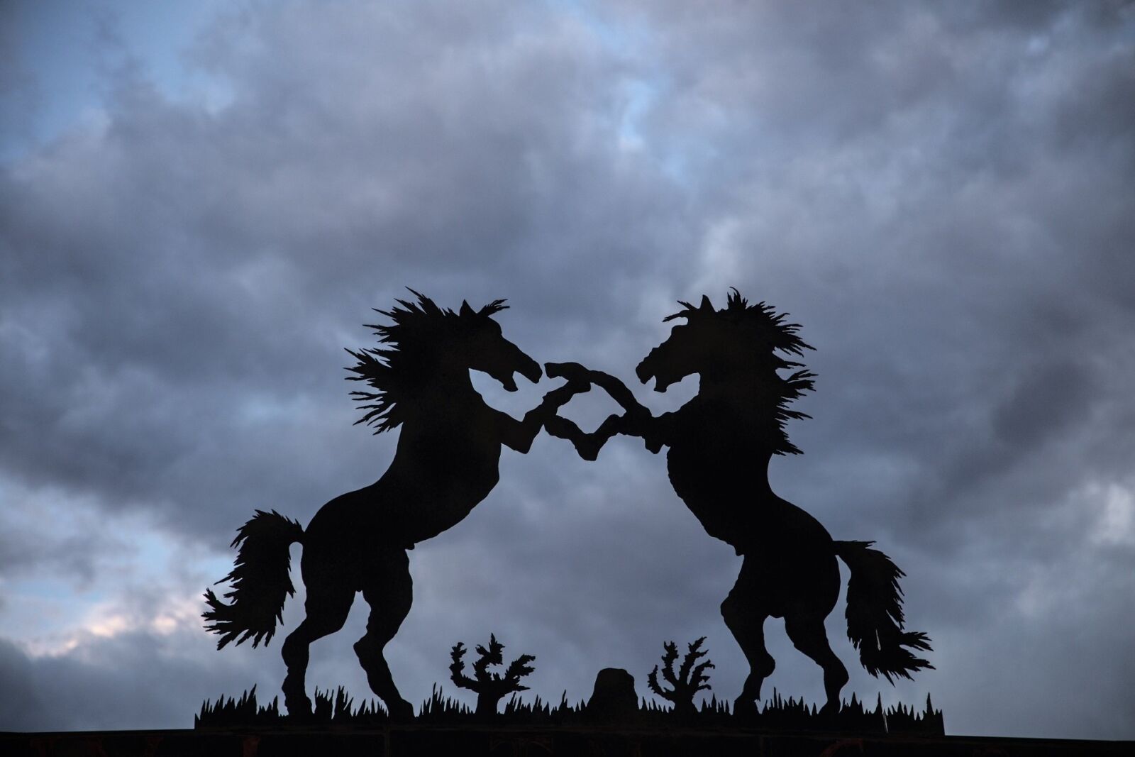 Canon EOS 5DS R sample photo. Wrought iron, decoration, horses photography